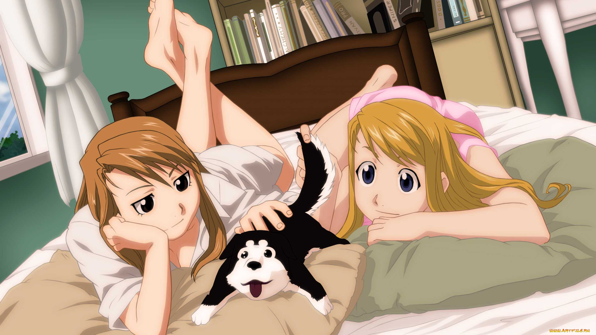 fullmetal, alchemist, аниме