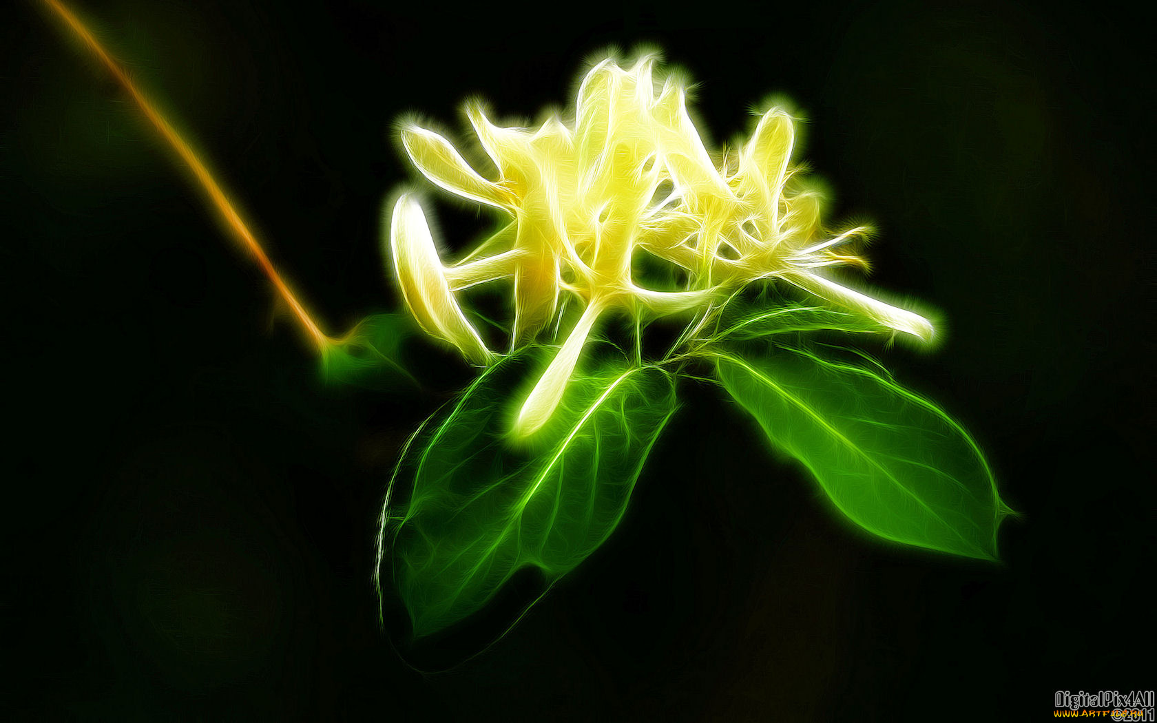 3д, графика, flowers, цветы, фрактал