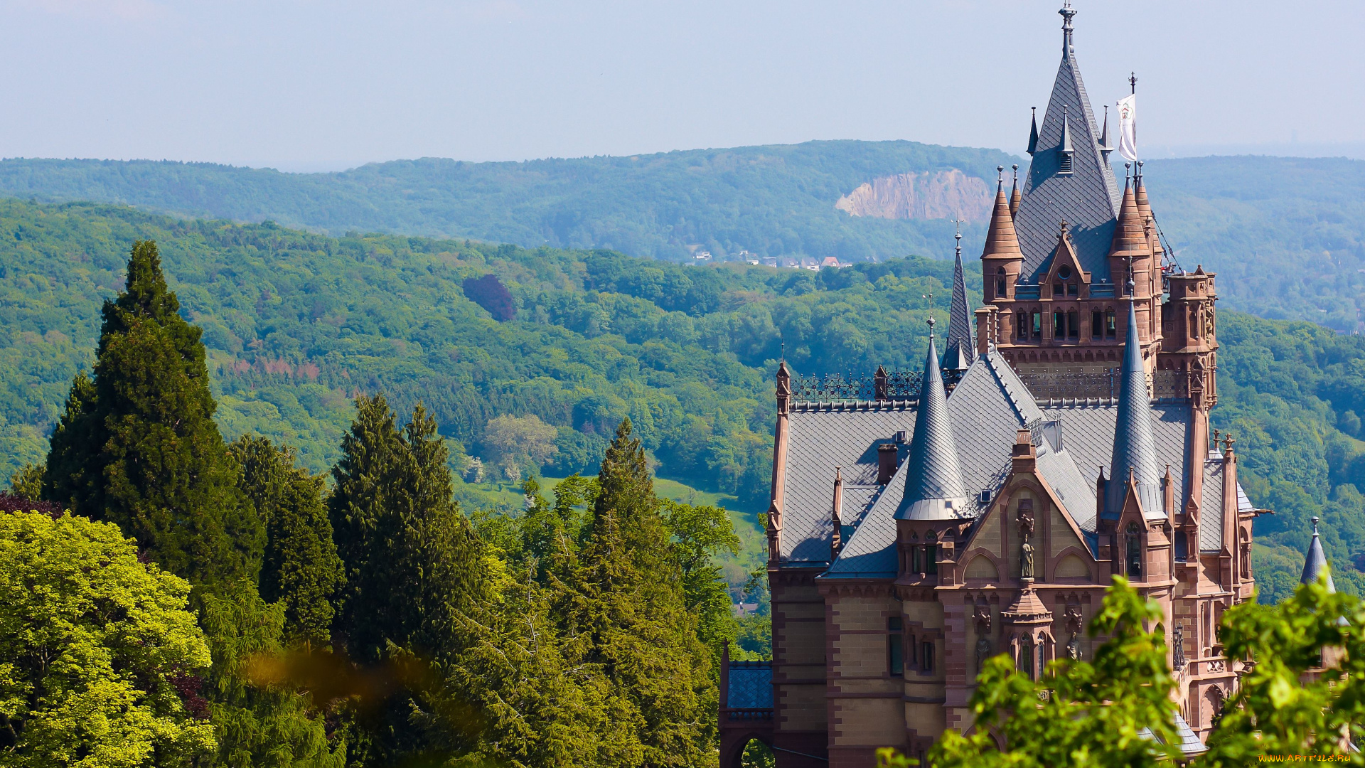 города, дворцы, замки, крепости, деревья, лес, пейзаж