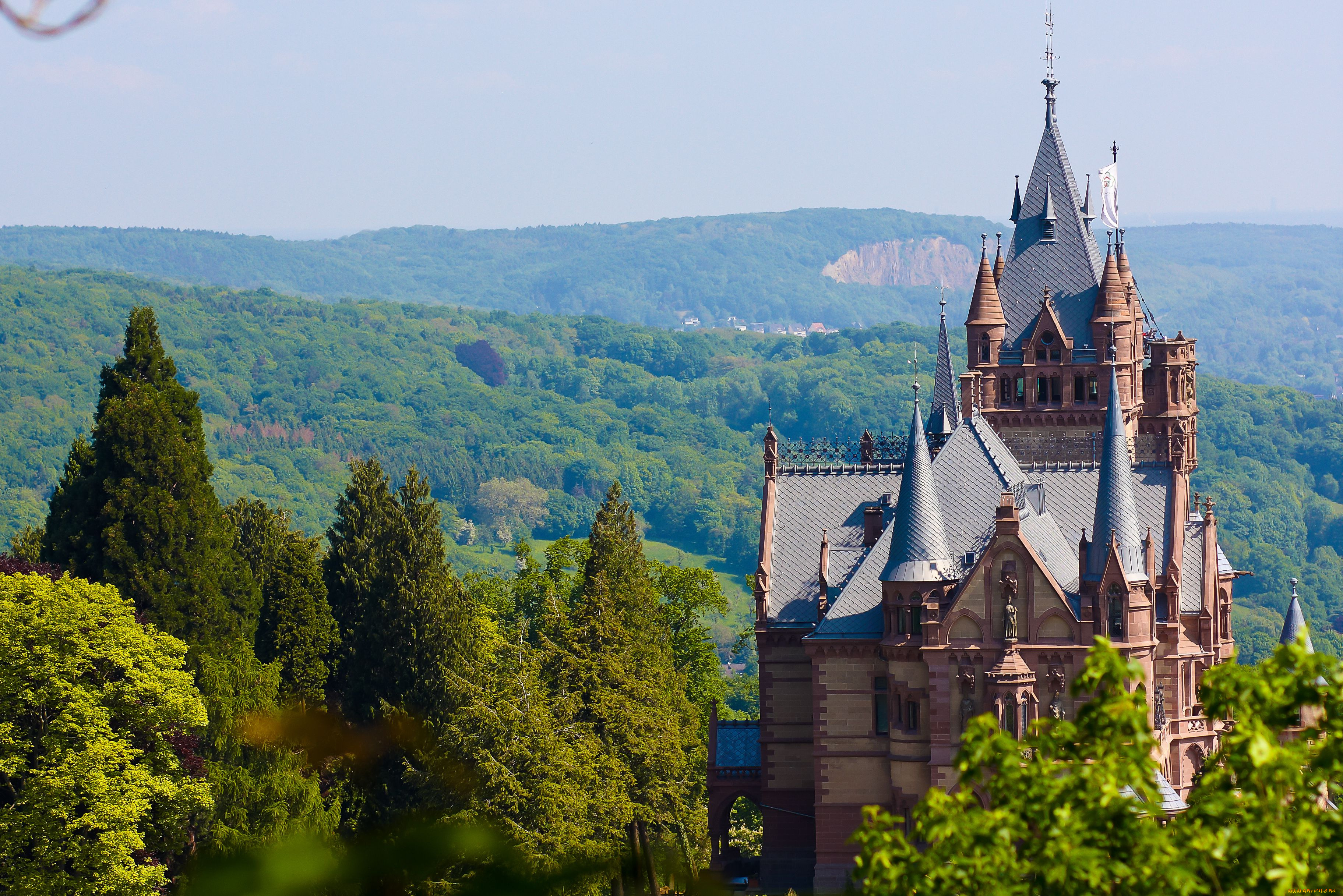 города, дворцы, замки, крепости, деревья, лес, пейзаж