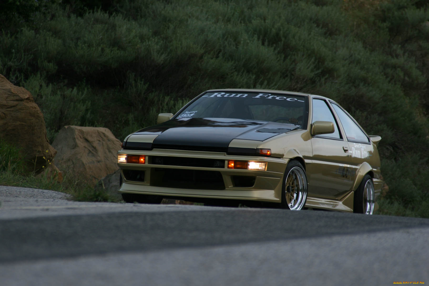 автомобили, toyota, back