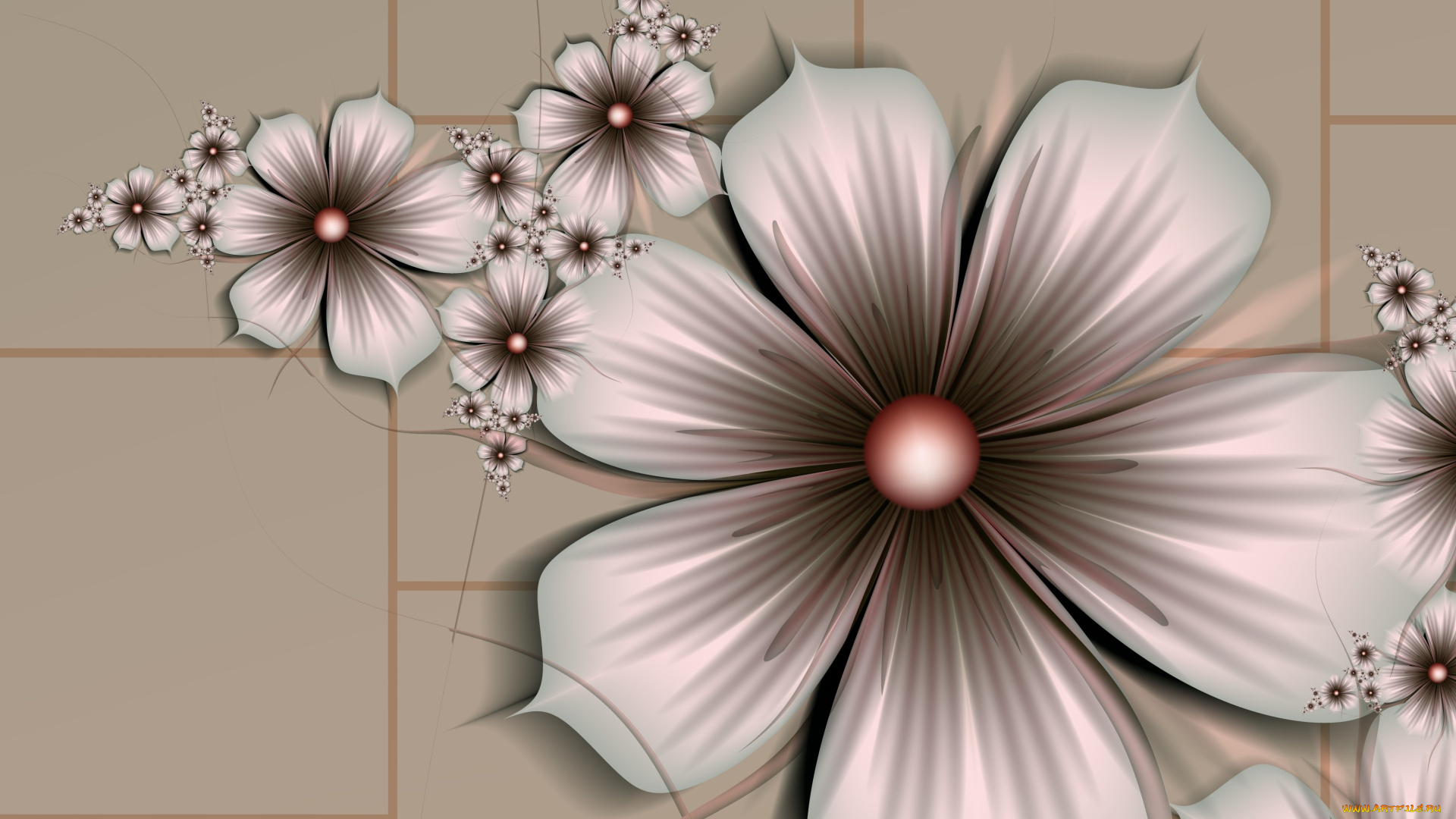 3д, графика, fractal, фракталы, узор, цветы, лепестки