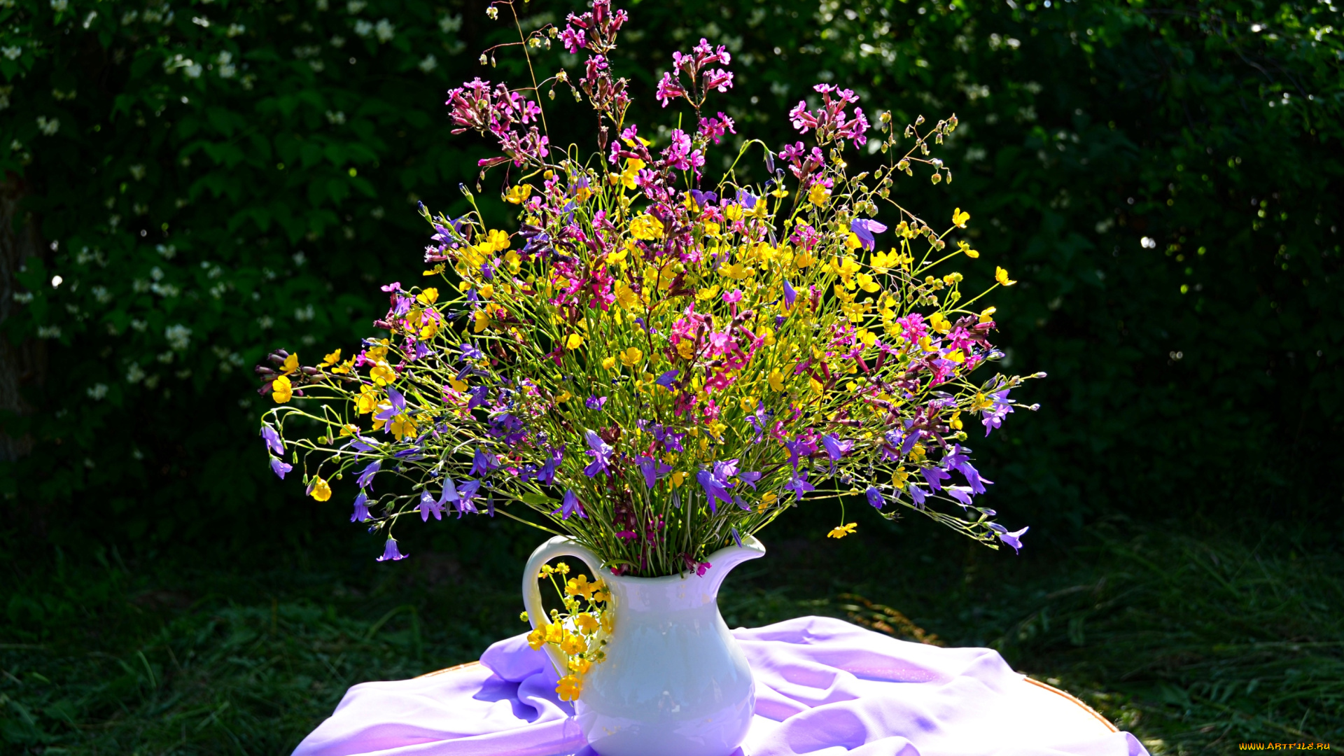 цветы, луговые, полевые, лютики, колокольчики