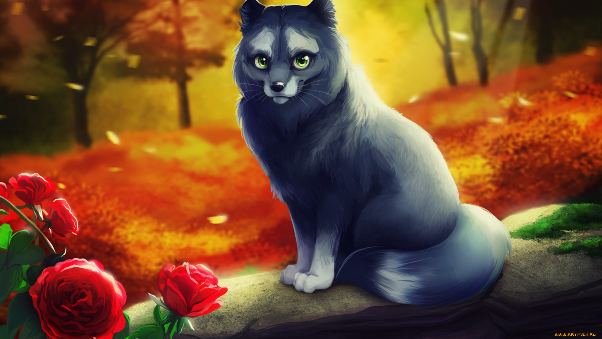 рисованные, животные, лисы, роза