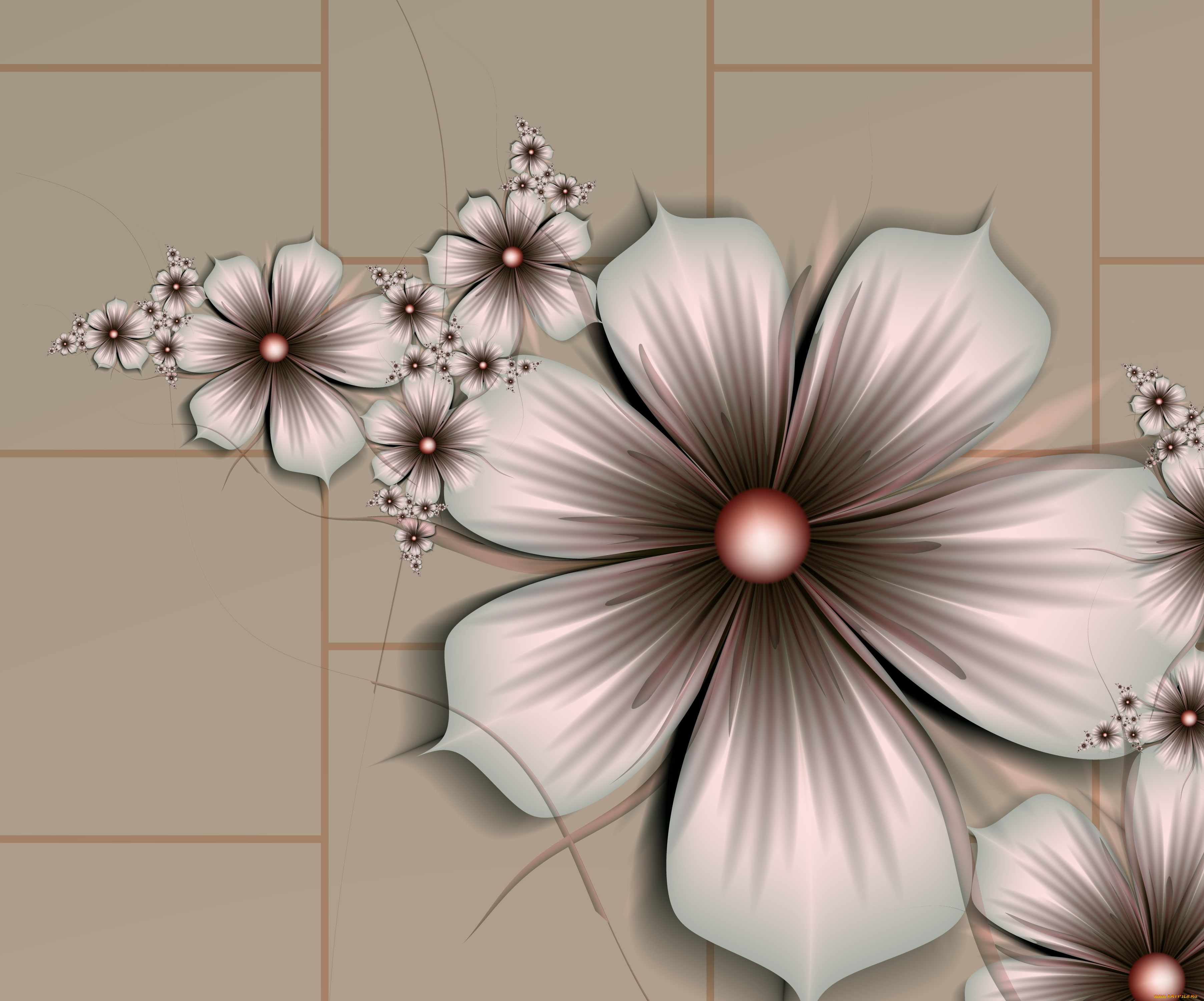 3д, графика, fractal, фракталы, узор, цветы, лепестки