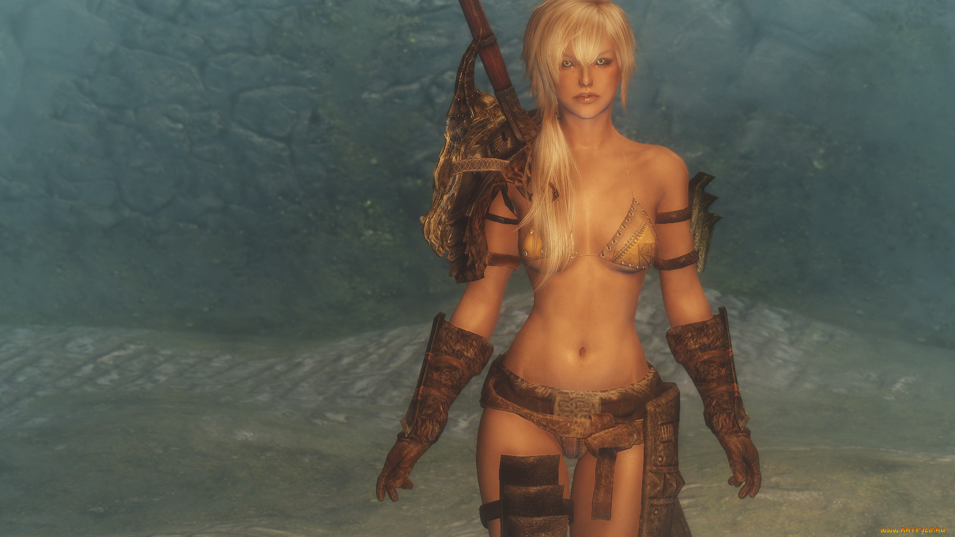 3д, графика, амазонки, , amazon, оружие, доспехи, девушка, взгляд