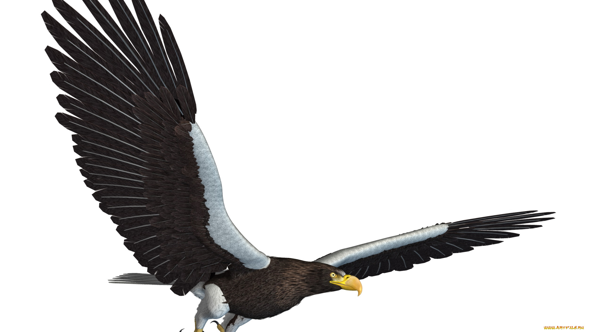 3д, графика, животные, , animals, орел