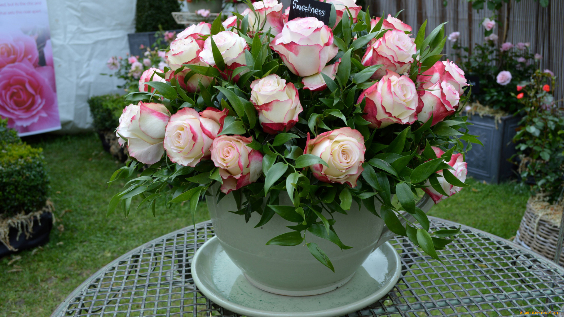 цветы, розы, cup, чашка, rose, bouquet, flowers, букет