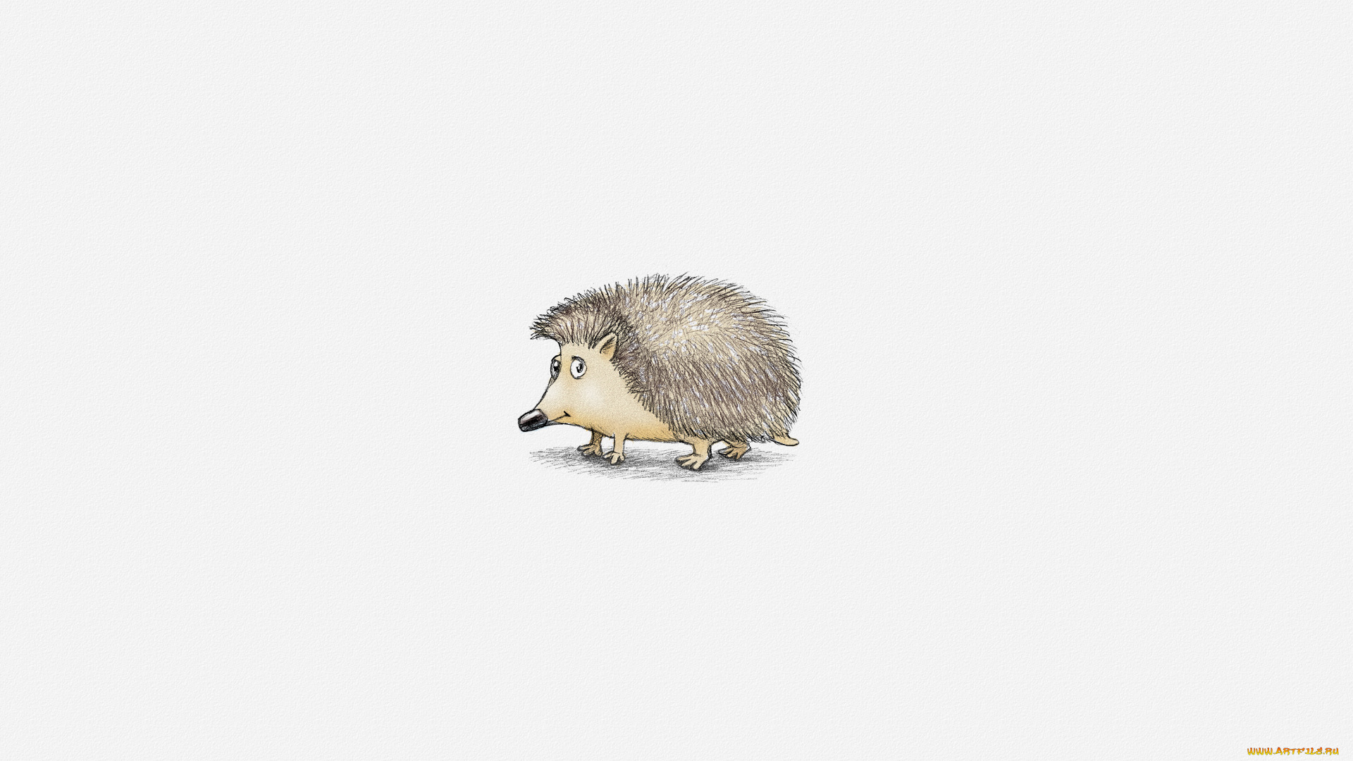 рисованные, животные, , ежи, ежик