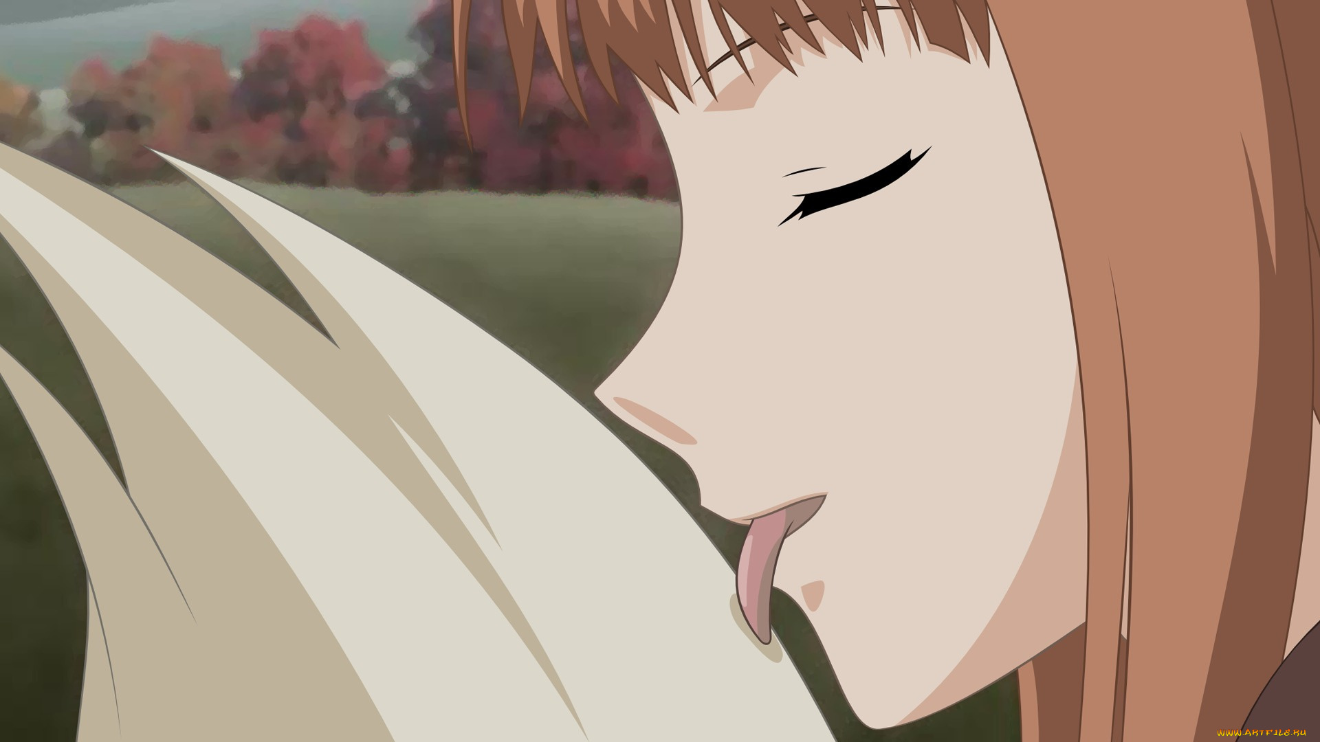 spice, and, wolf, аниме, лицо, язык, horo, хвост