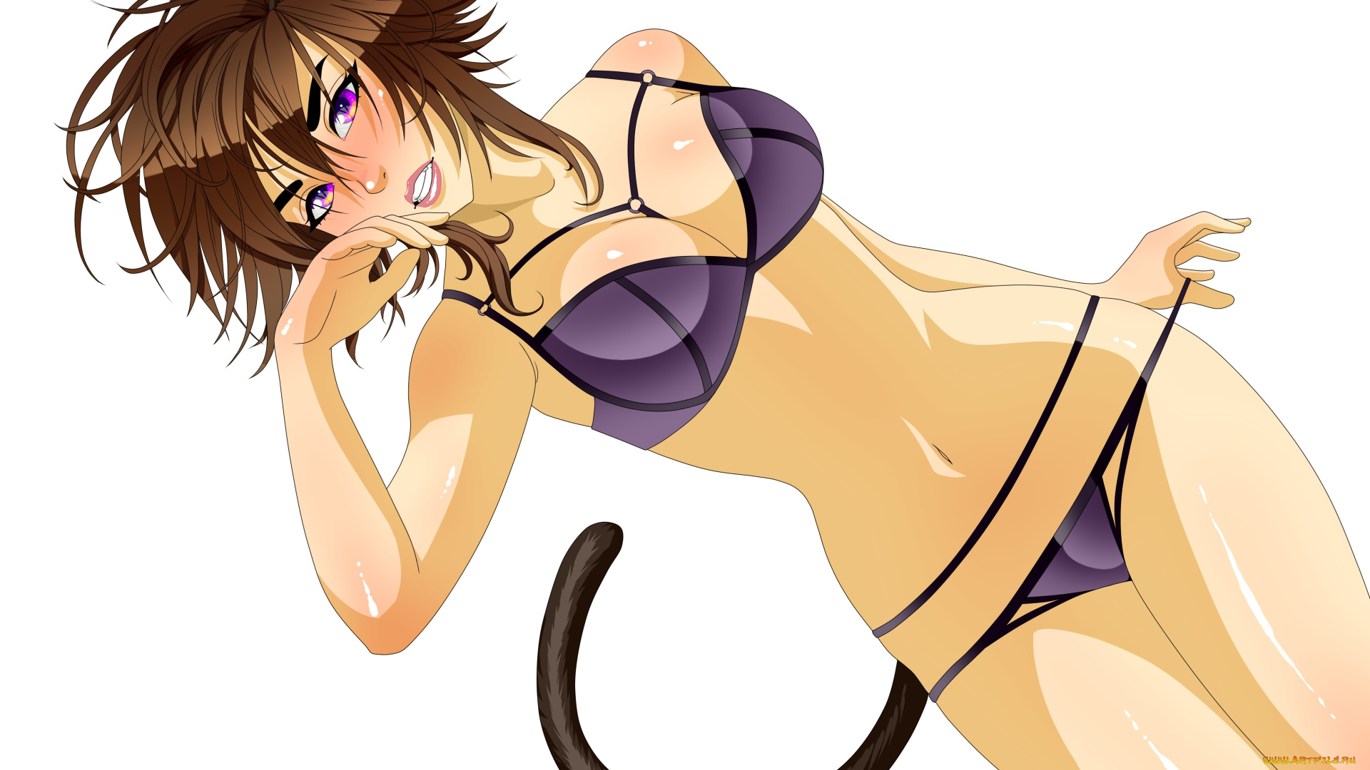 векторная, графика, девушки, грудь, лифчик, трусики, хвост, девушка, ушки