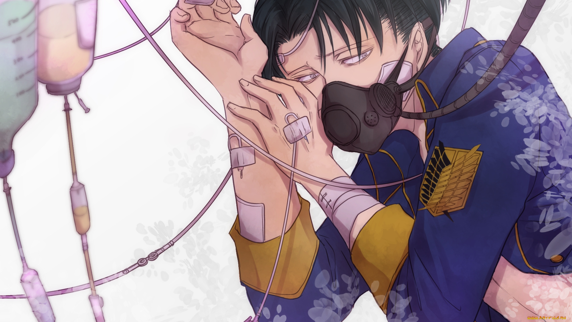 аниме, shingeki, no, kyojin, леви