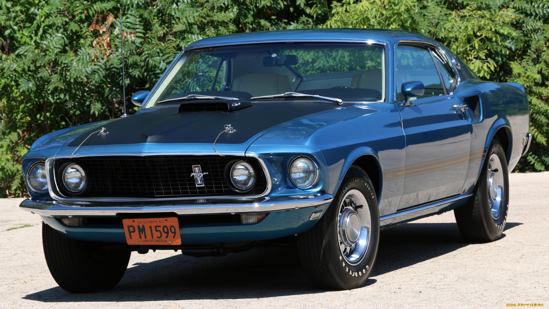 автомобили, mustang