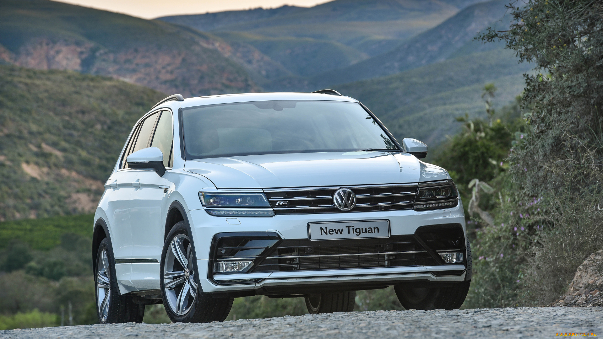 автомобили, volkswagen, vw