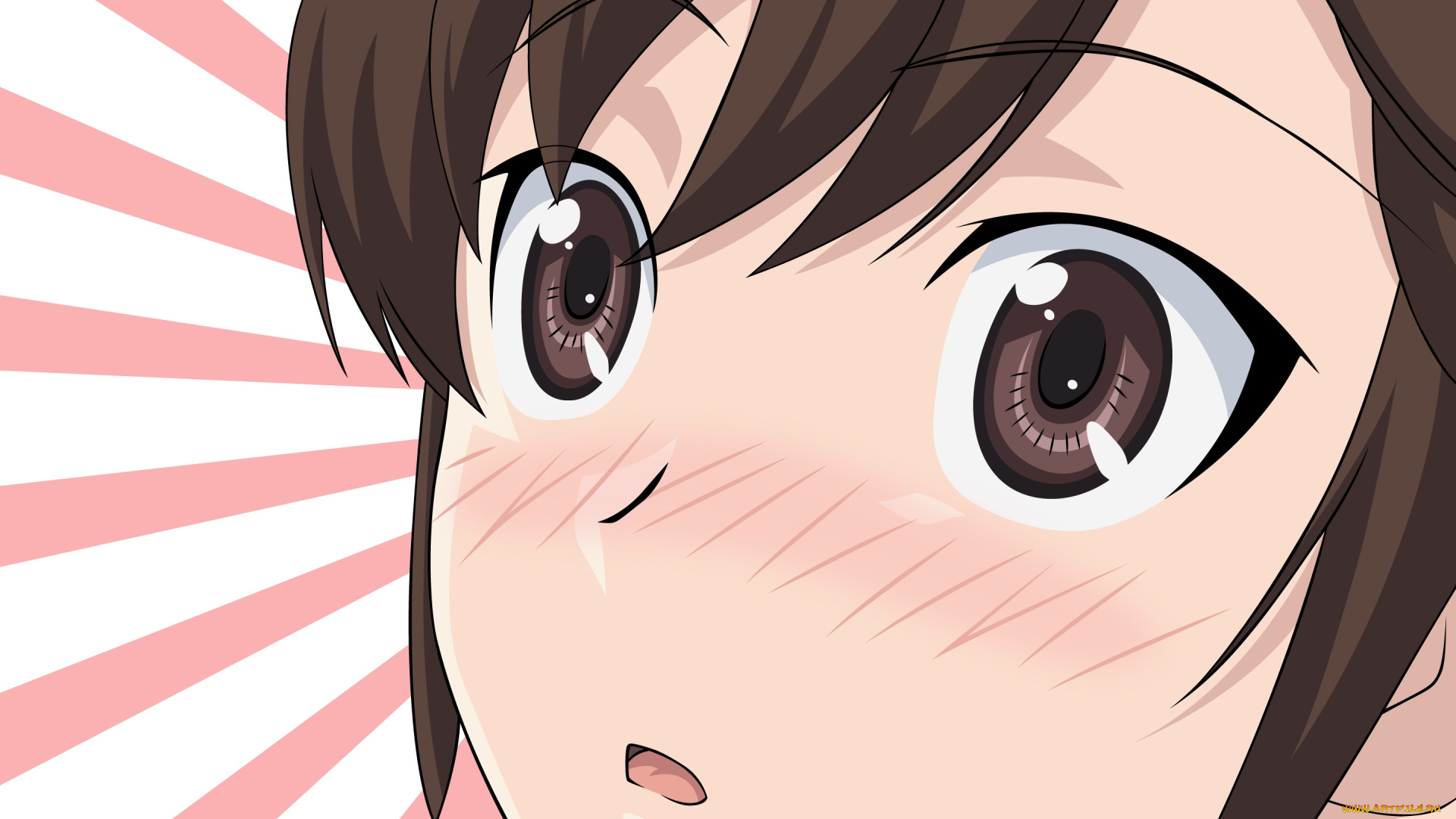 kami, nomi, zo, shiru, sekai, аниме, взгляд, девушка, фон