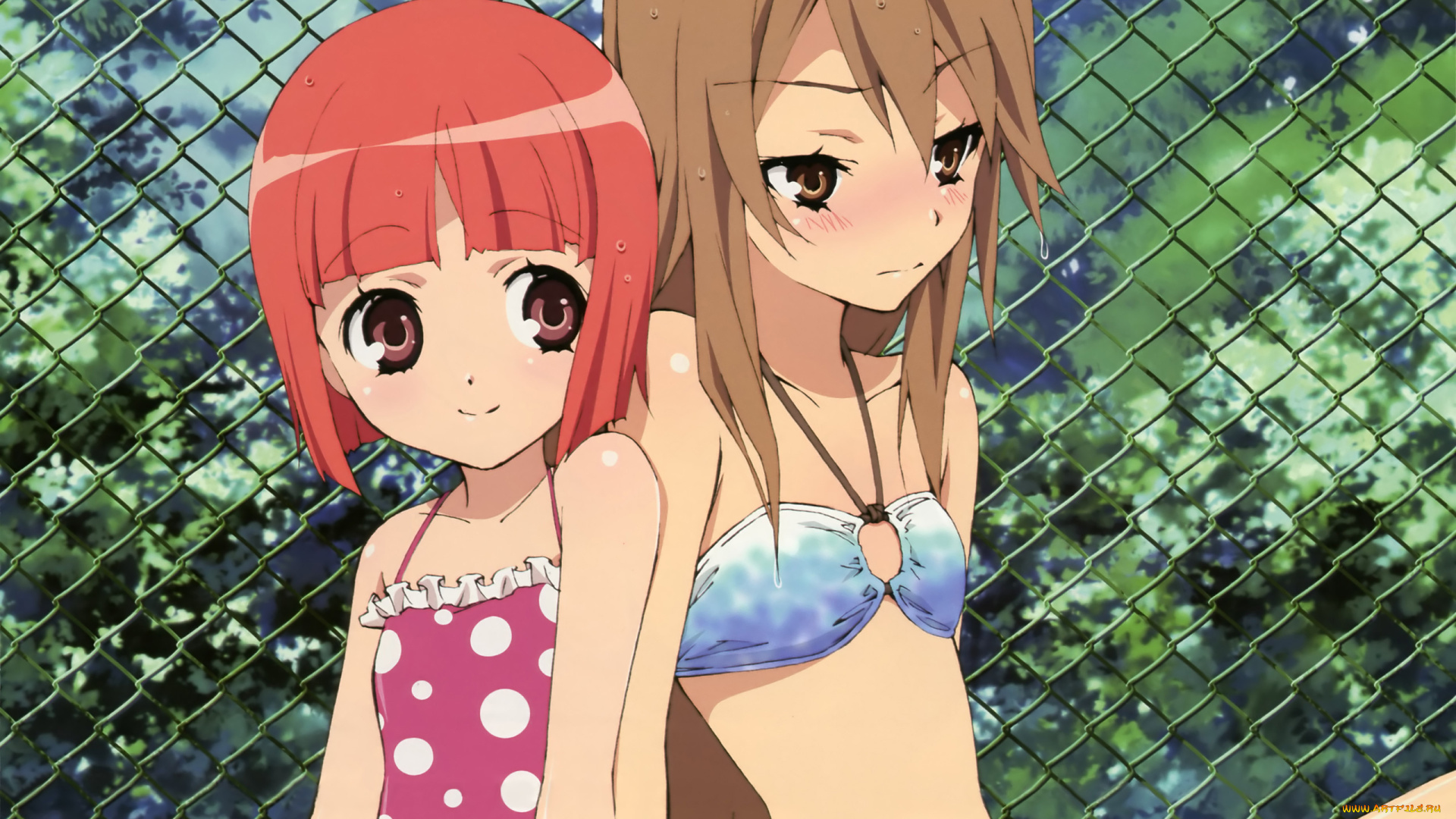 ookami-san, to, shichinin, no, nakama-tachi, аниме, девушки, взгляд, фон