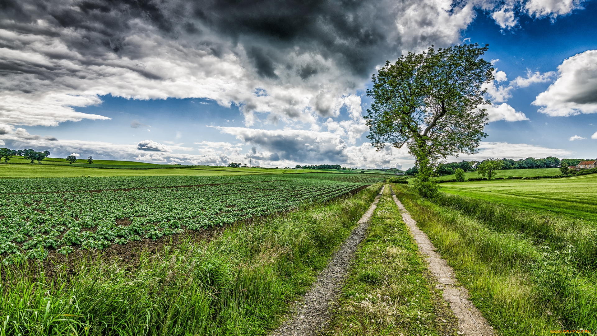 природа, дороги, тракт