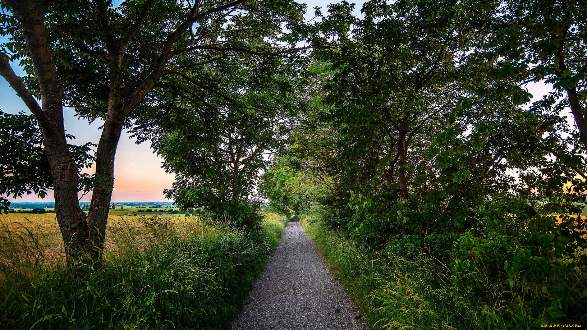 природа, дороги, тракт