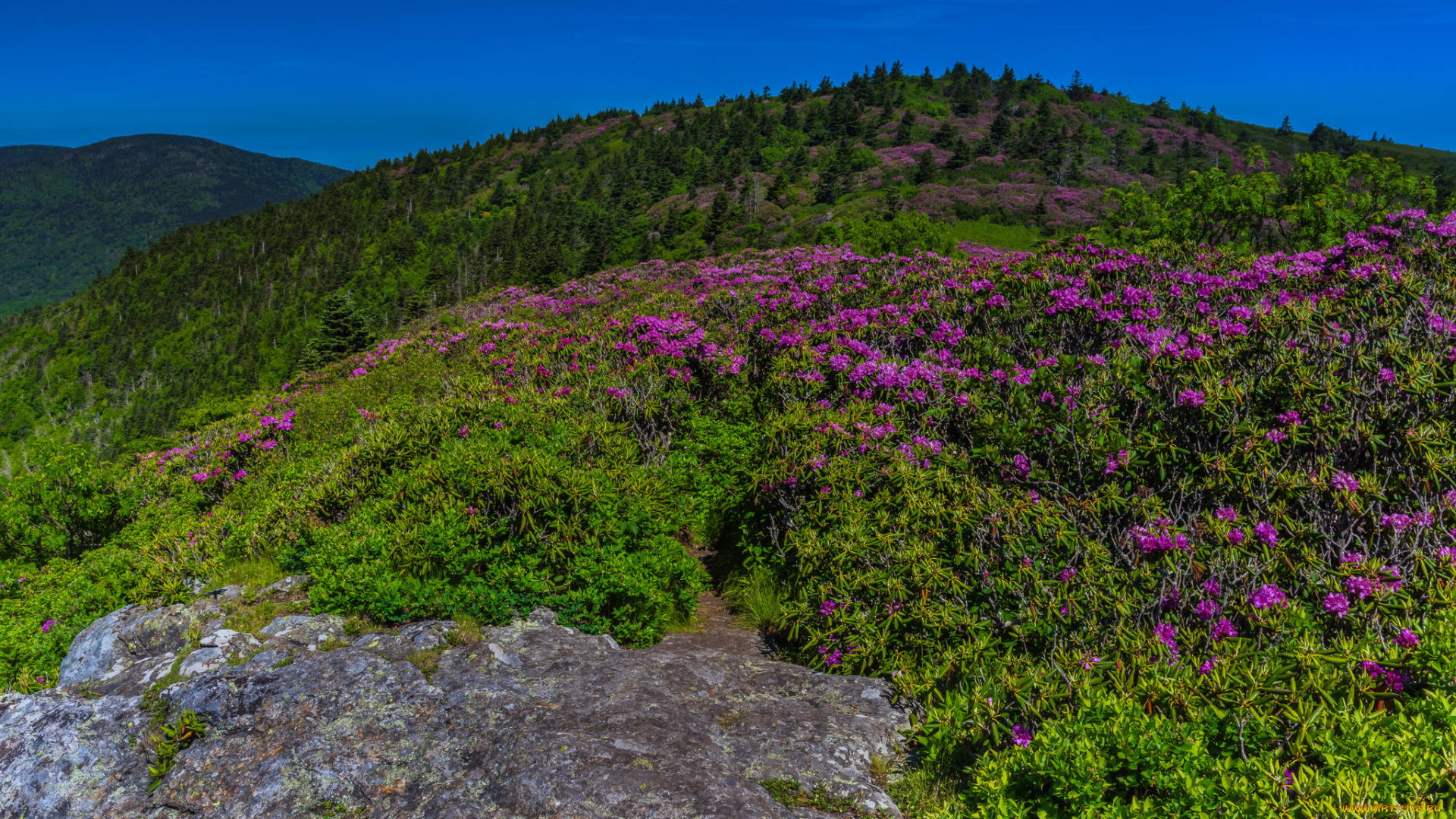 природа, горы, скалы