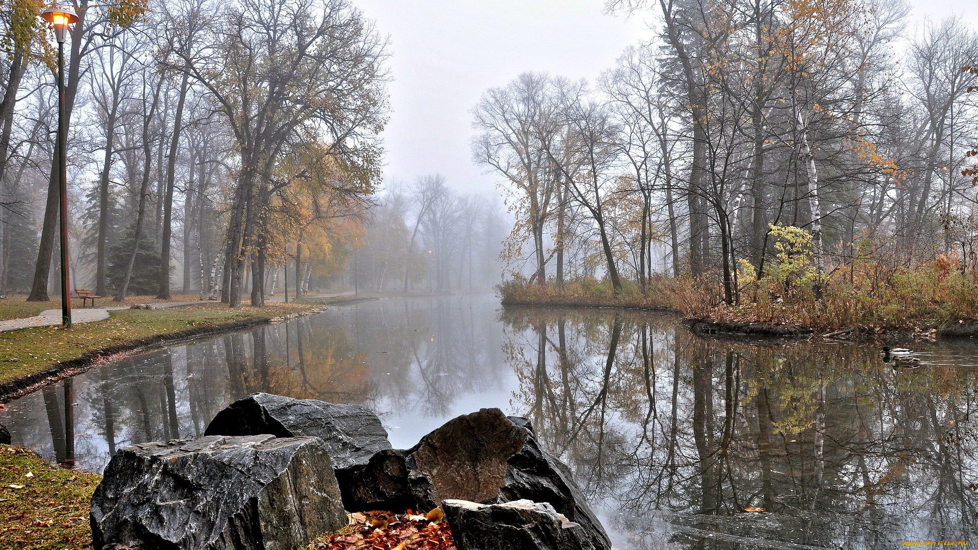 природа, парк, камни, вода, фонарь, осень