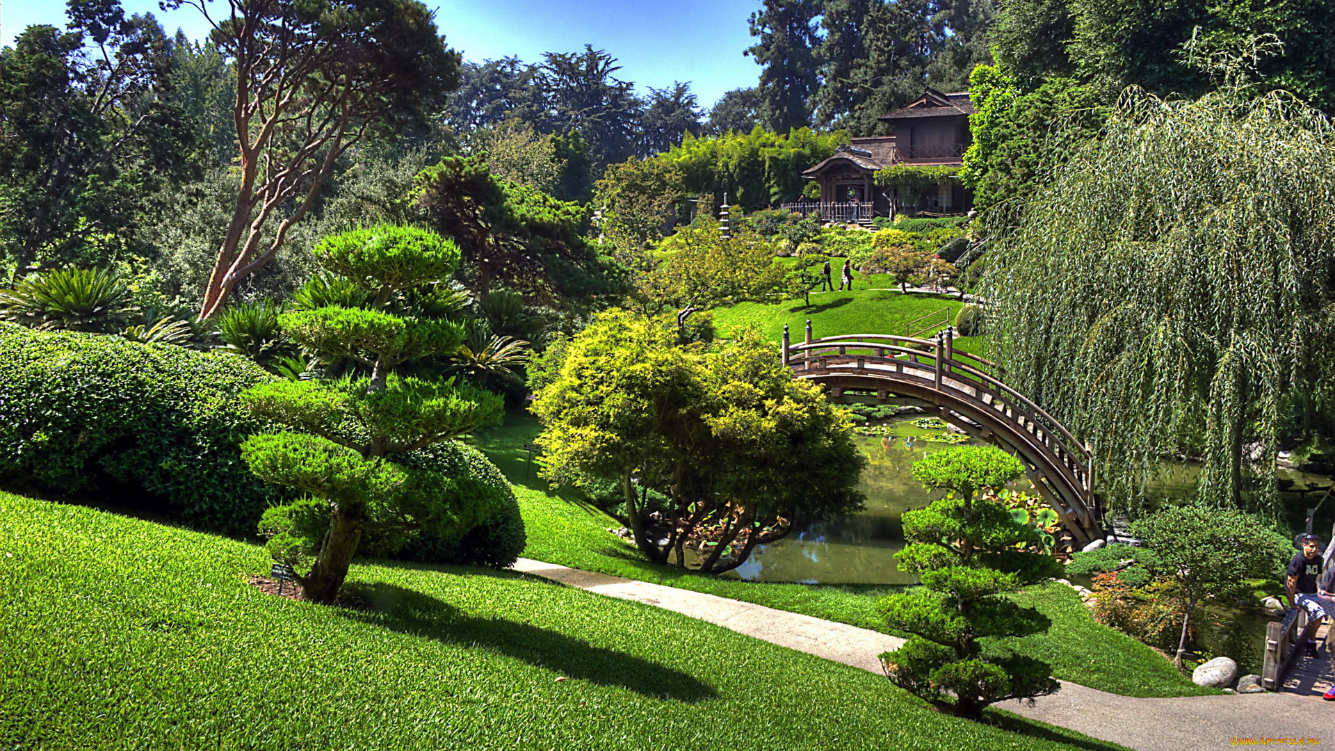 природа, парк, лужайка, водоем, мостик, деревья