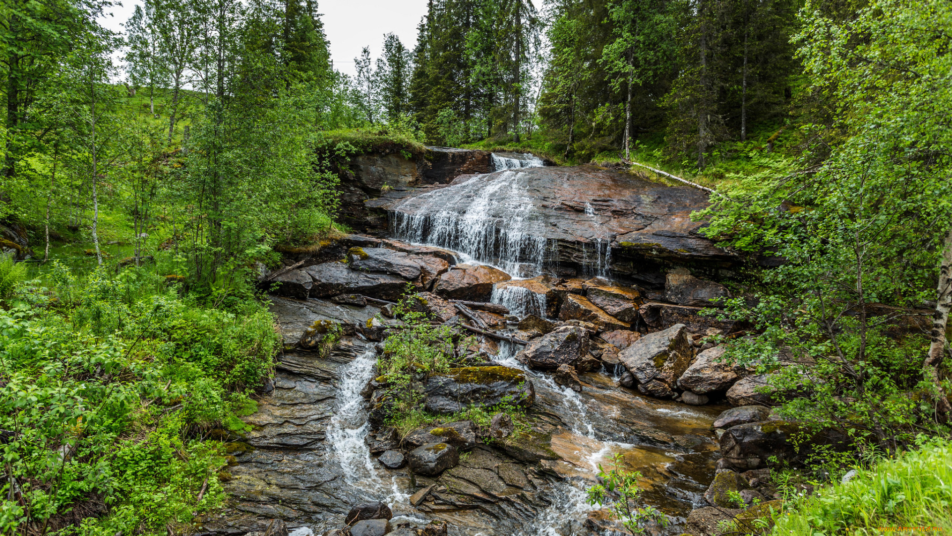 природа, водопады, водопад, река, лес