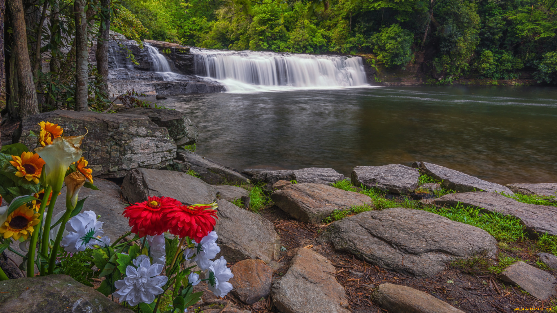 природа, водопады, водопад, река, лес