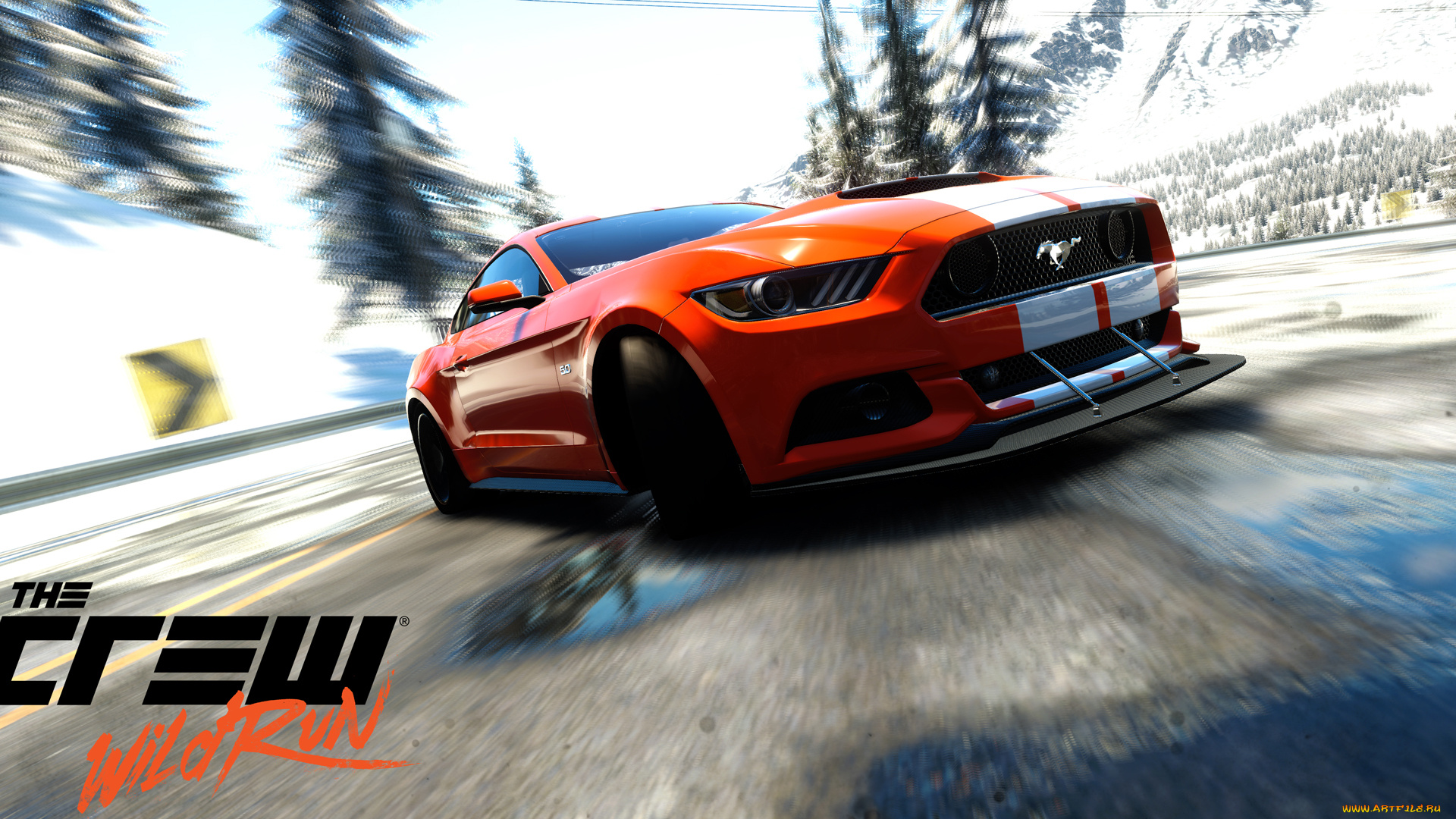 видео, игры, the, crew, , wild, run, симулятор, гонки, ресинг, run, wild, the, crew