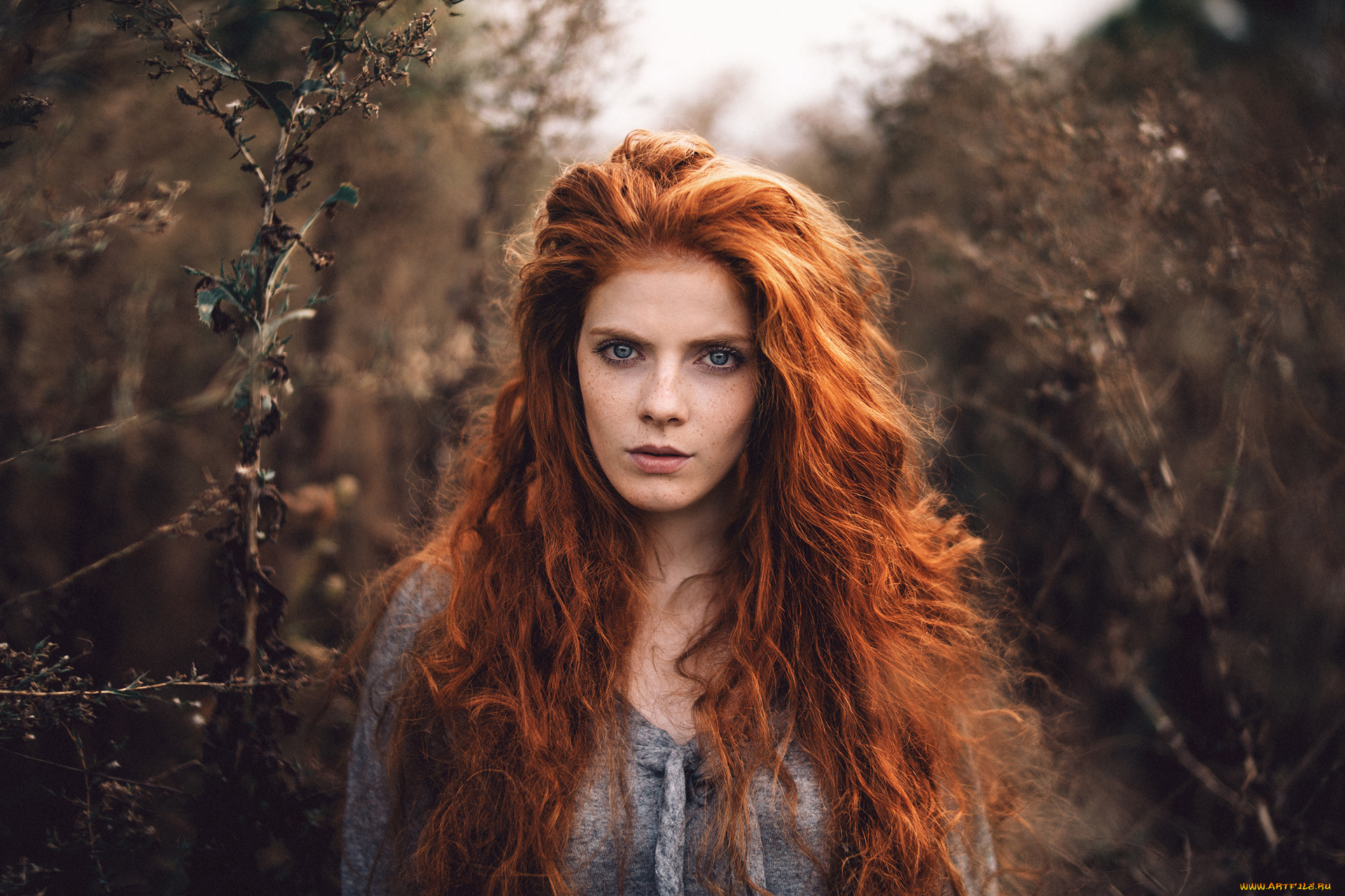 девушки, -unsort, , рыжеволосые, и, другие, лицо, взгляд