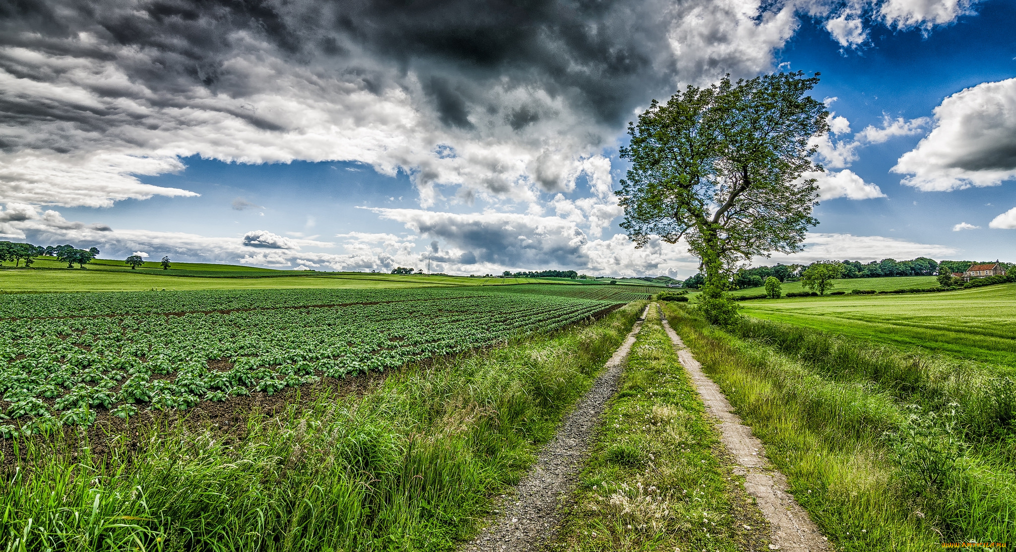 природа, дороги, тракт