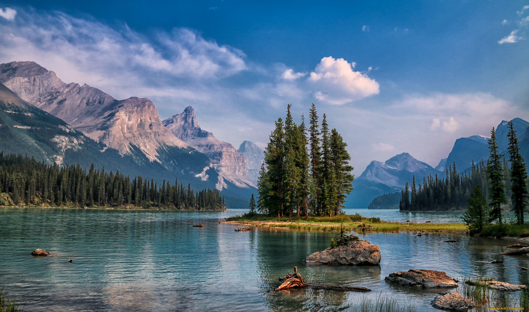 природа, реки, озера, река, лес