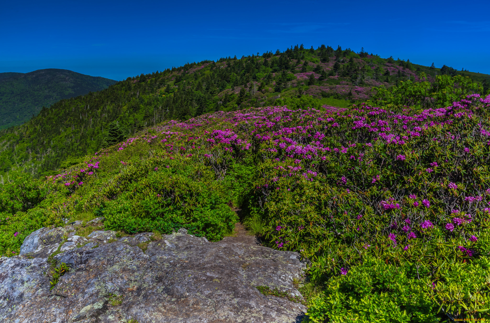 природа, горы, скалы