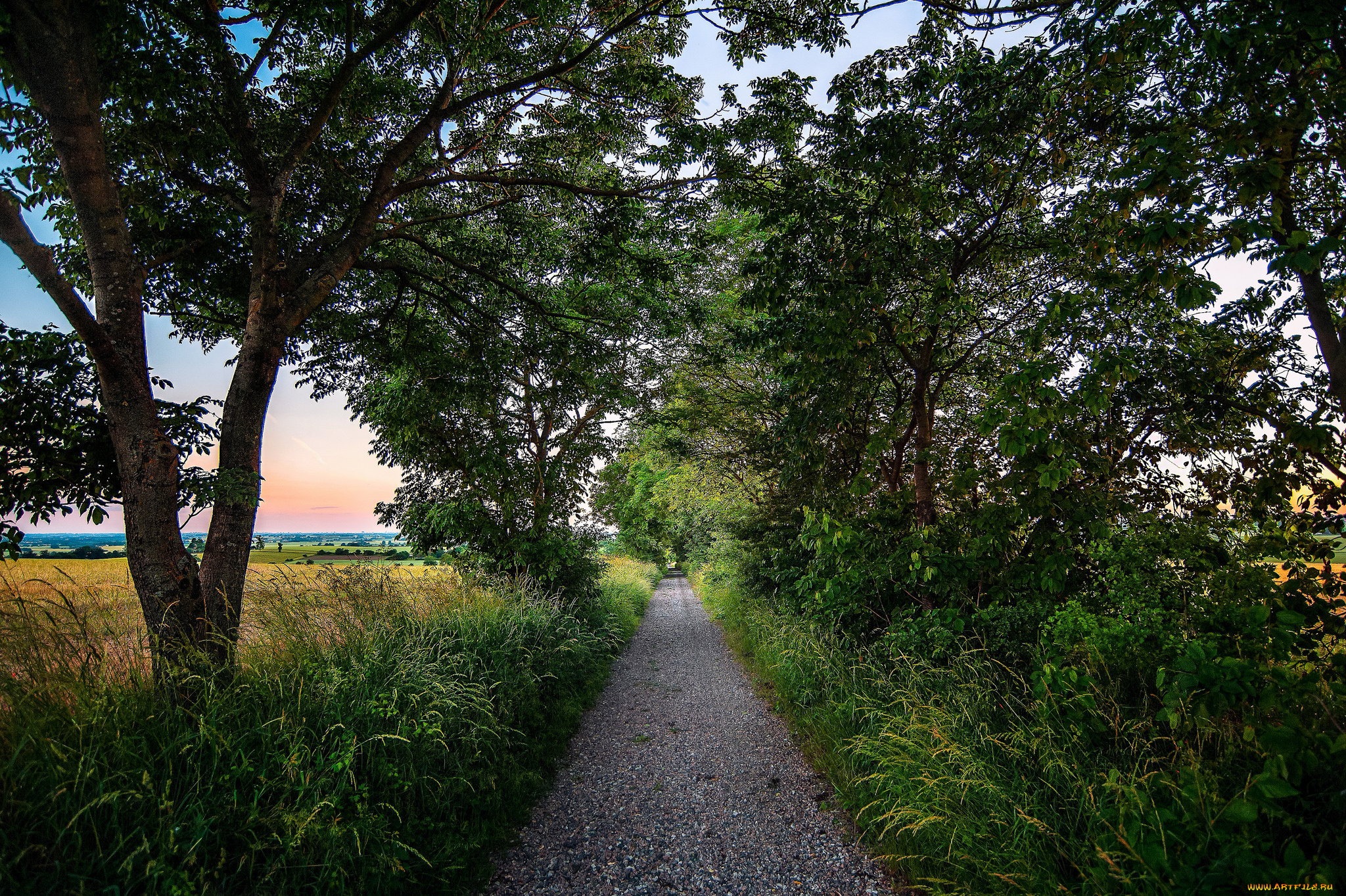 природа, дороги, тракт