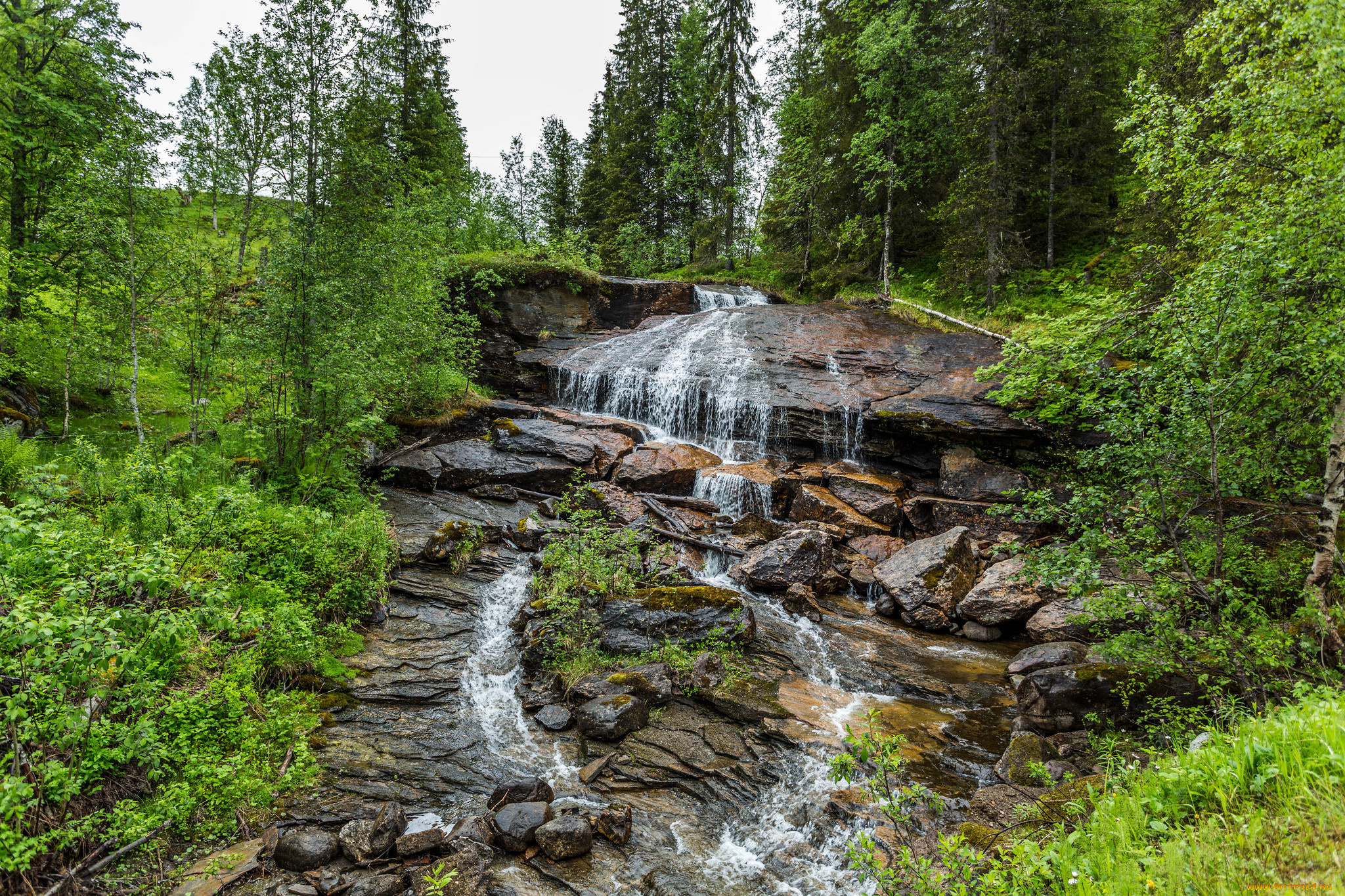 природа, водопады, водопад, река, лес