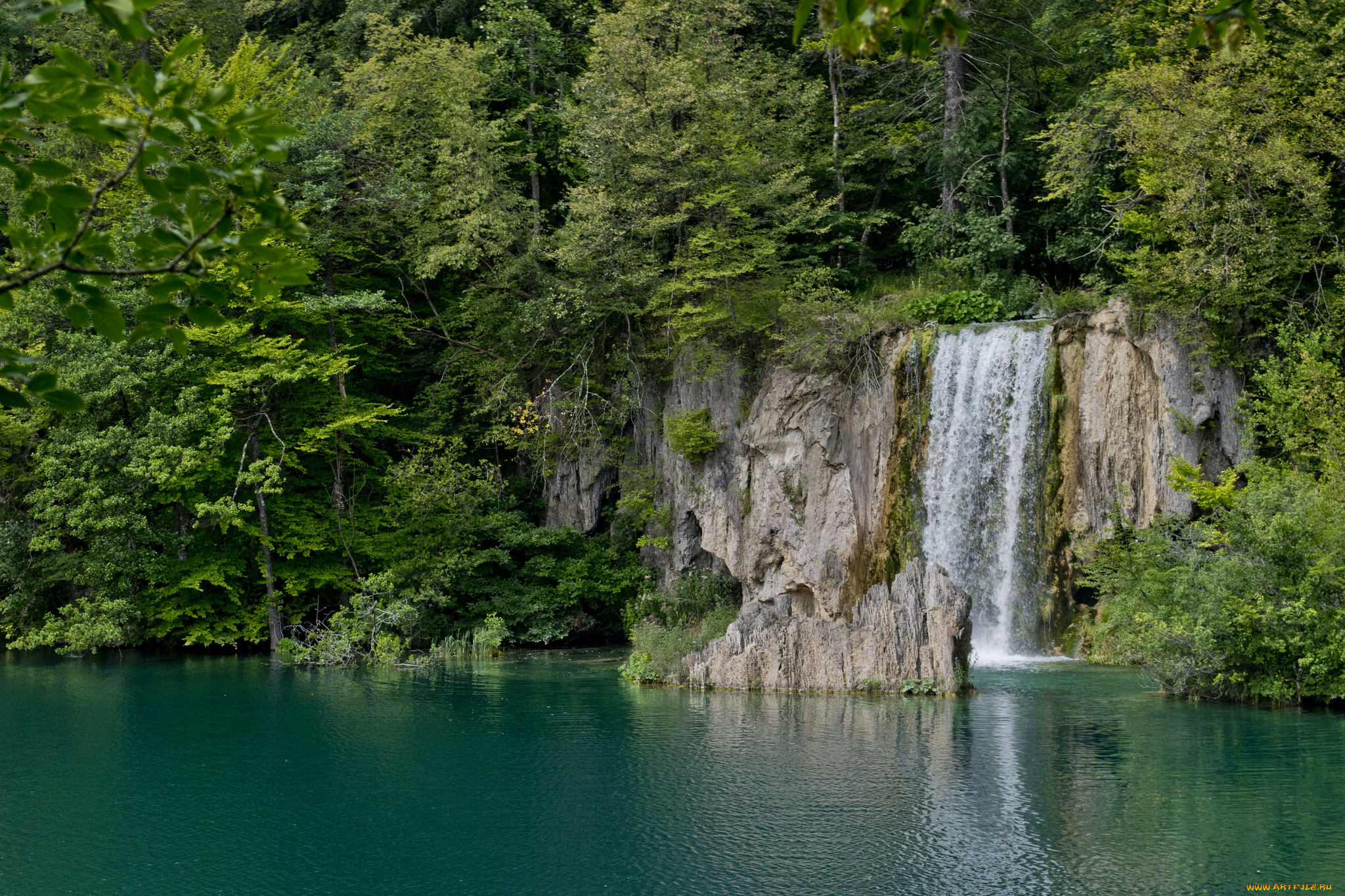 природа, водопады, водопад, река, лес