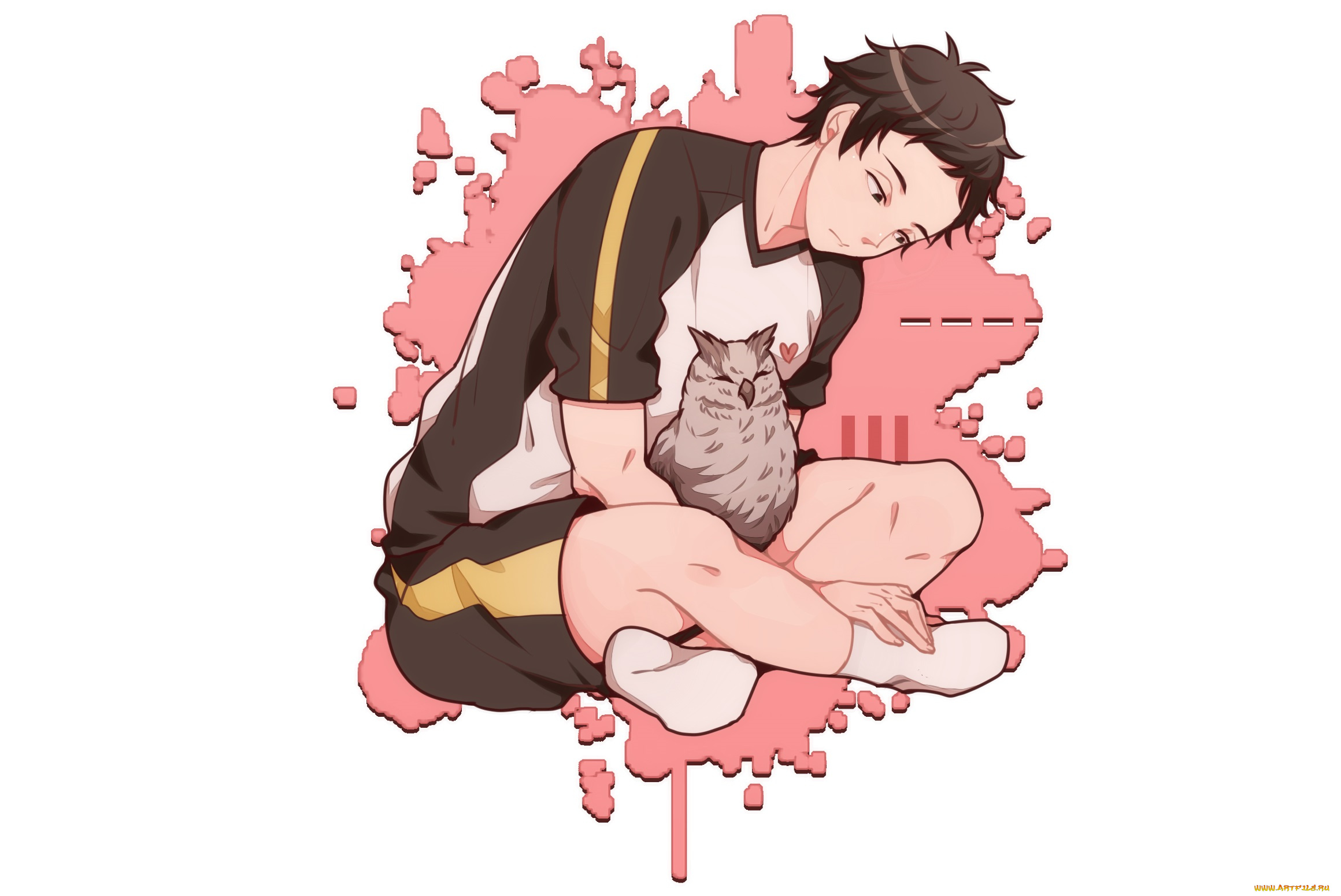 аниме, haikyuu, парень