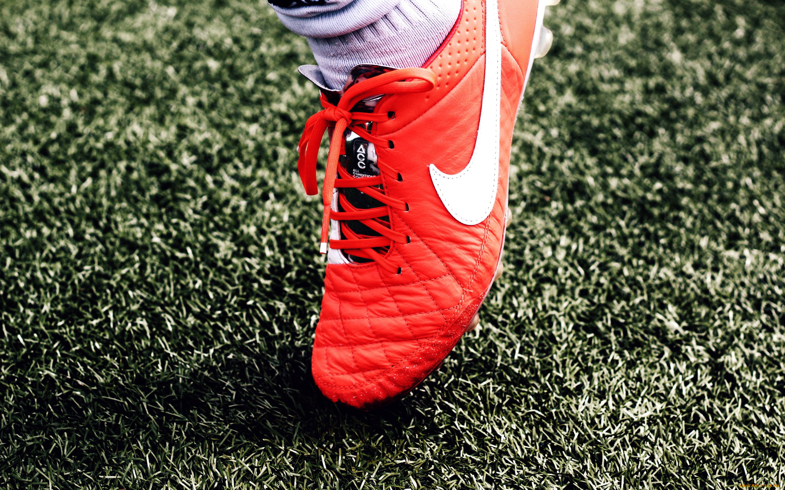 бренды, nike, кроссовки