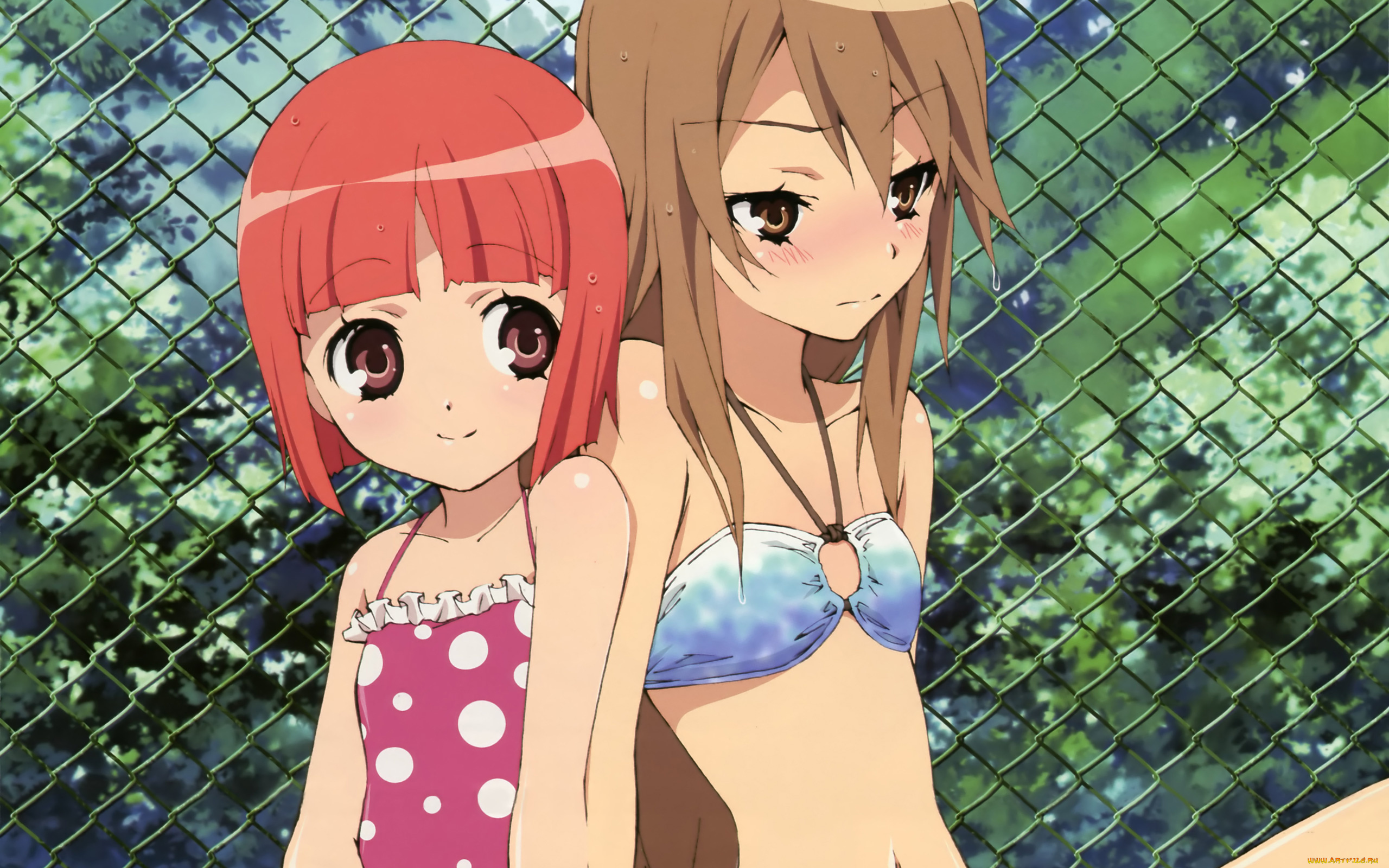 ookami-san, to, shichinin, no, nakama-tachi, аниме, девушки, взгляд, фон