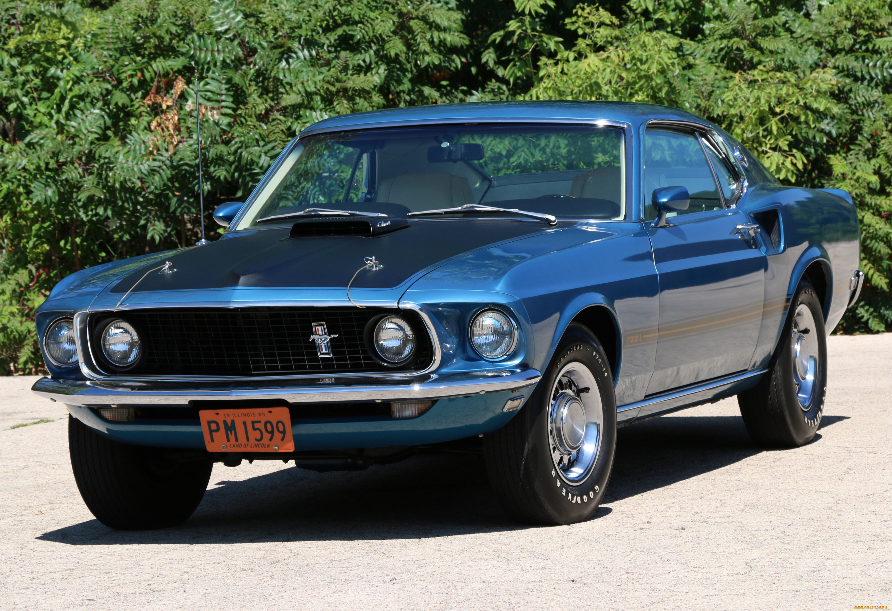 автомобили, mustang