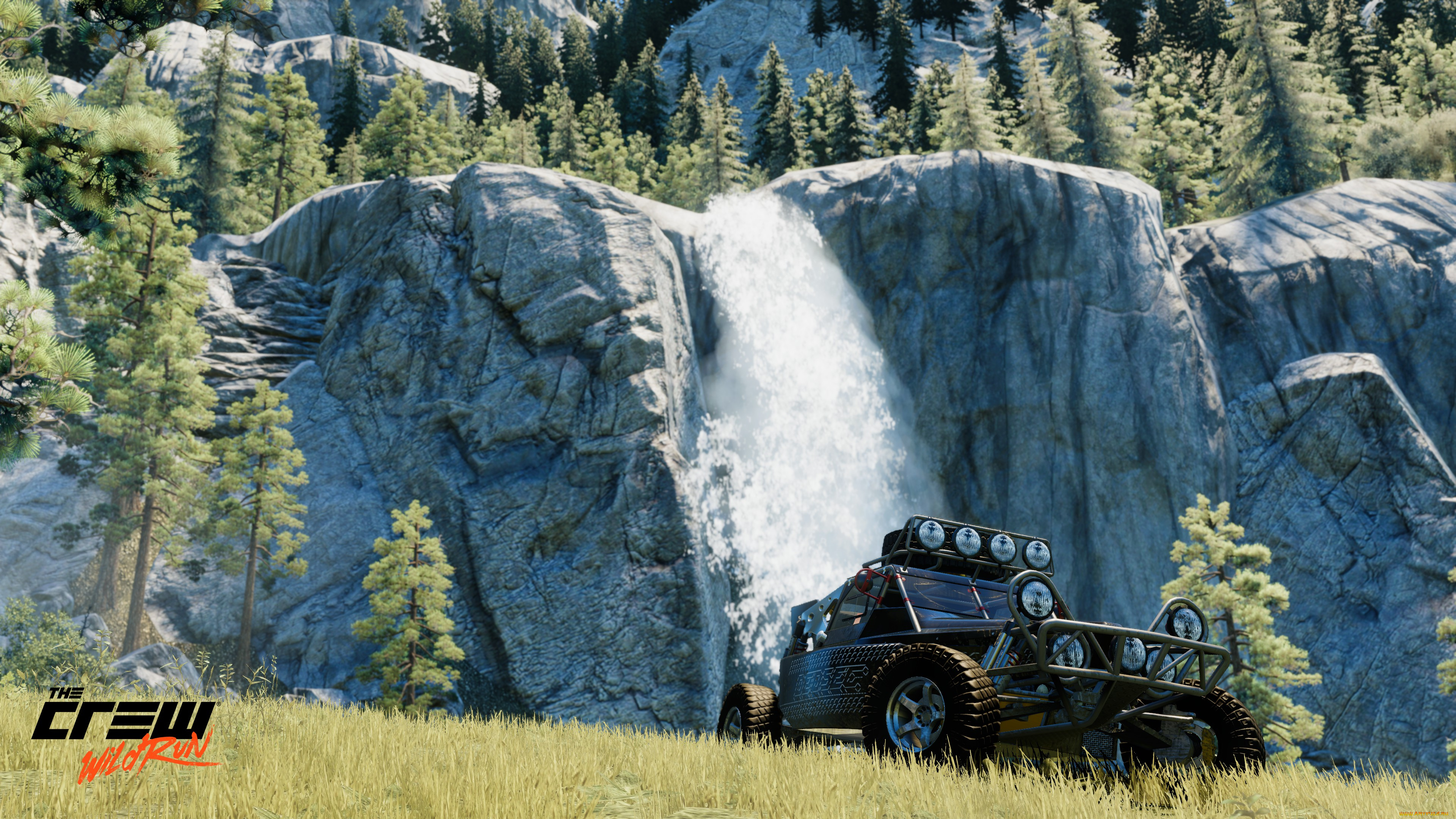 видео, игры, the, crew, , wild, run, ресинг, run, wild, симулятор, the, crew, гонки