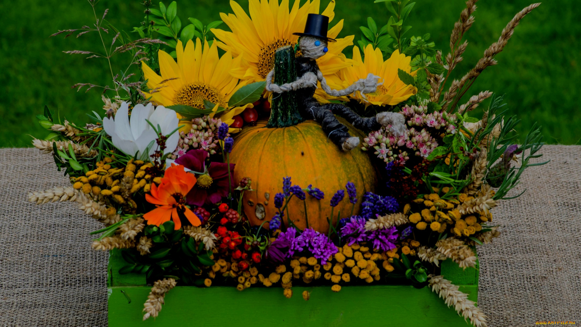 цветы, букеты, , композиции, георгин, подсолнух, тыква, букет