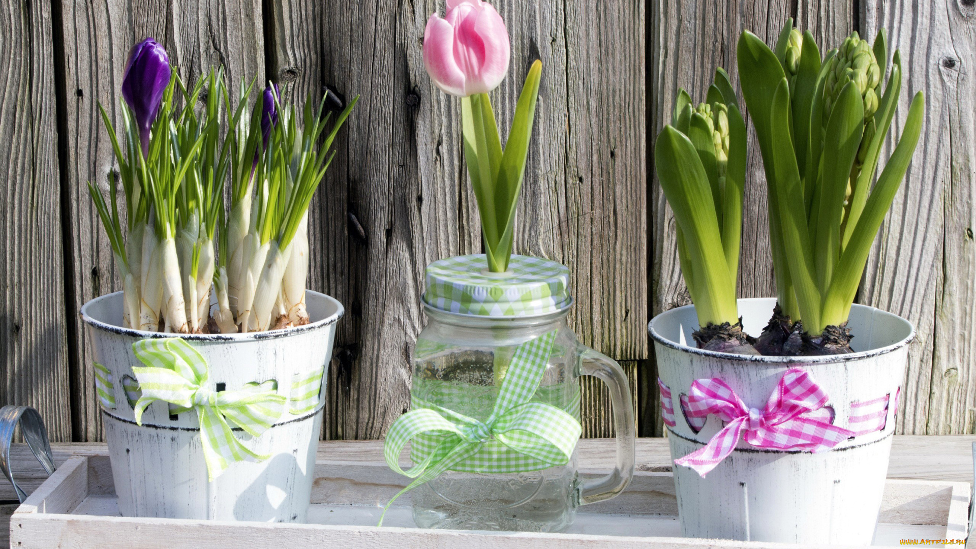 цветы, разные, вместе, крокусы, тюльпаны, гиацинты