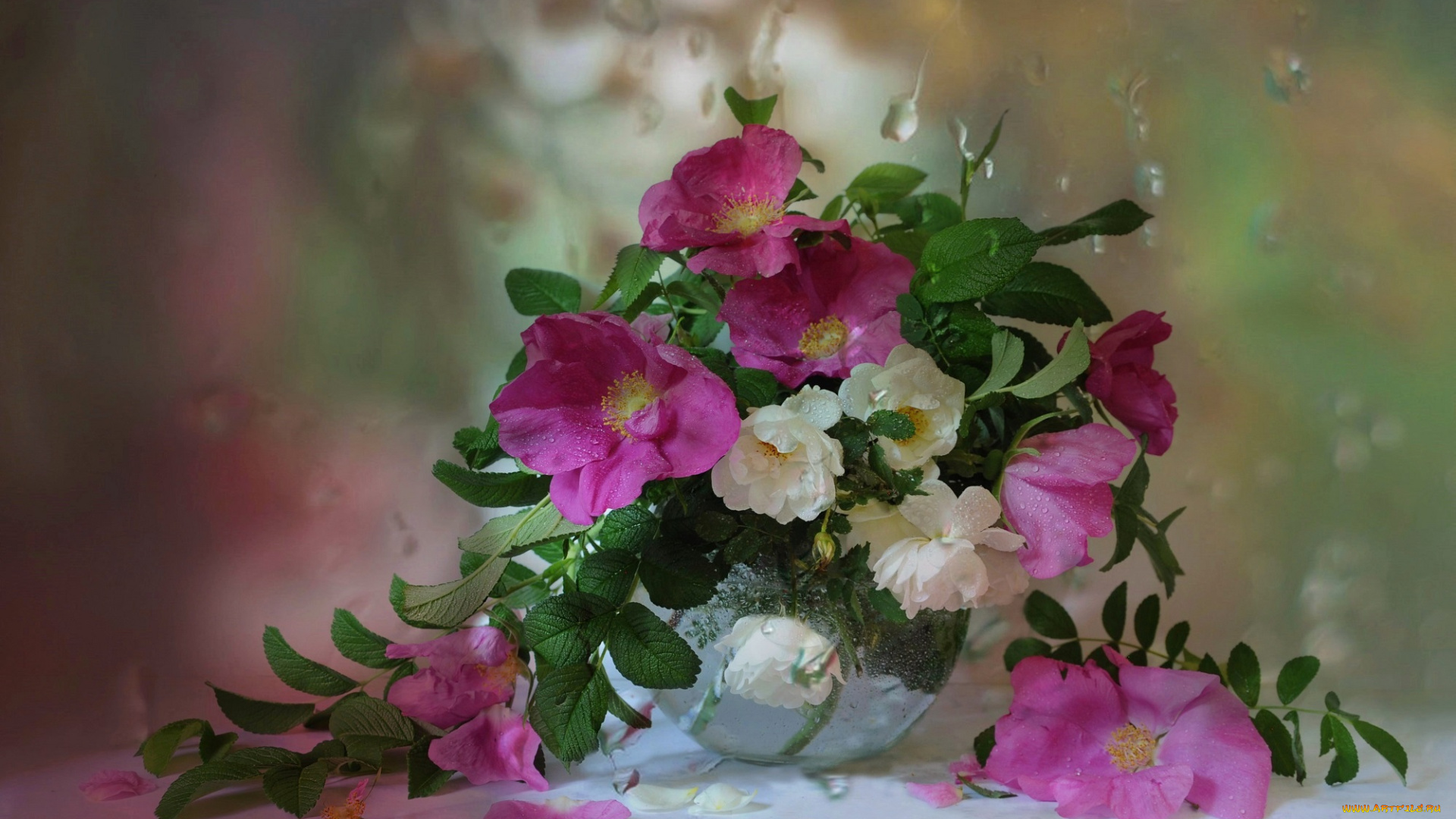 цветы, шиповник, ваза, окно, букет, капли