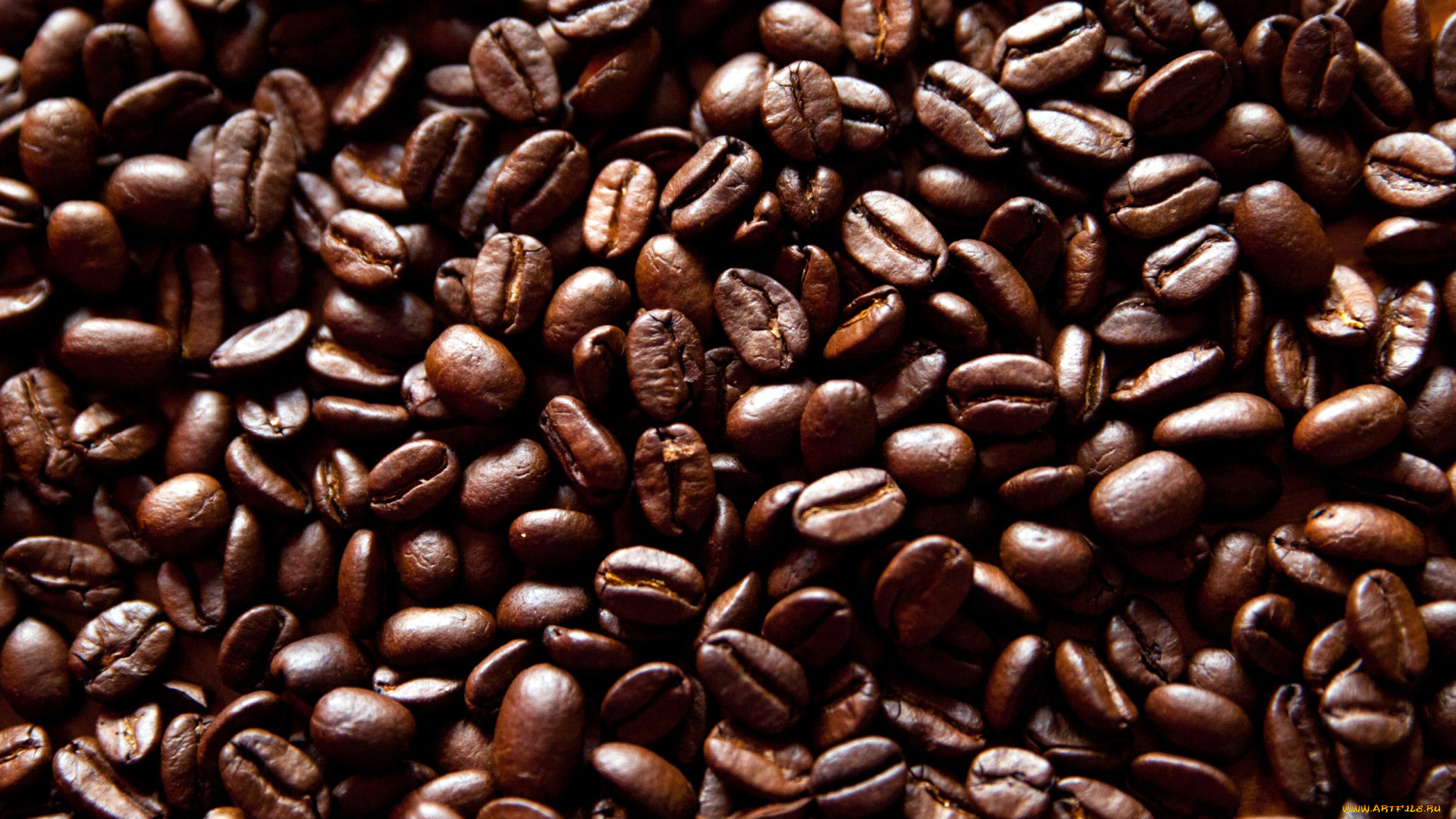 еда, кофе, , кофейные, зёрна, зерна, много, кофейные