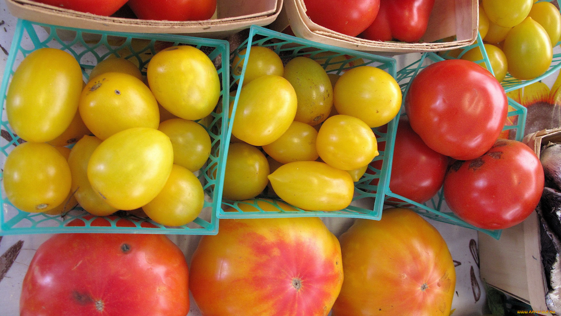 еда, помидоры, томаты, ассорти