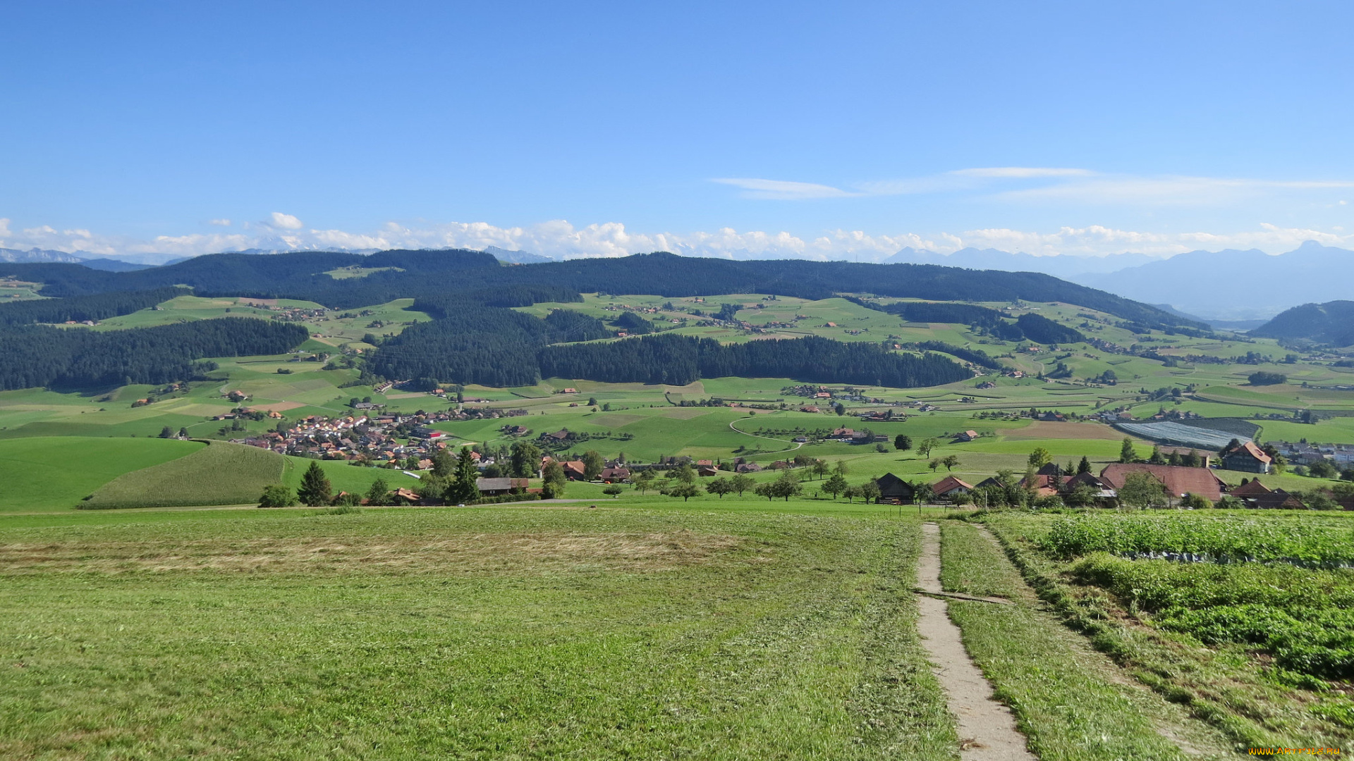 города, -, пейзажи, холмы, деревья, дома, поля