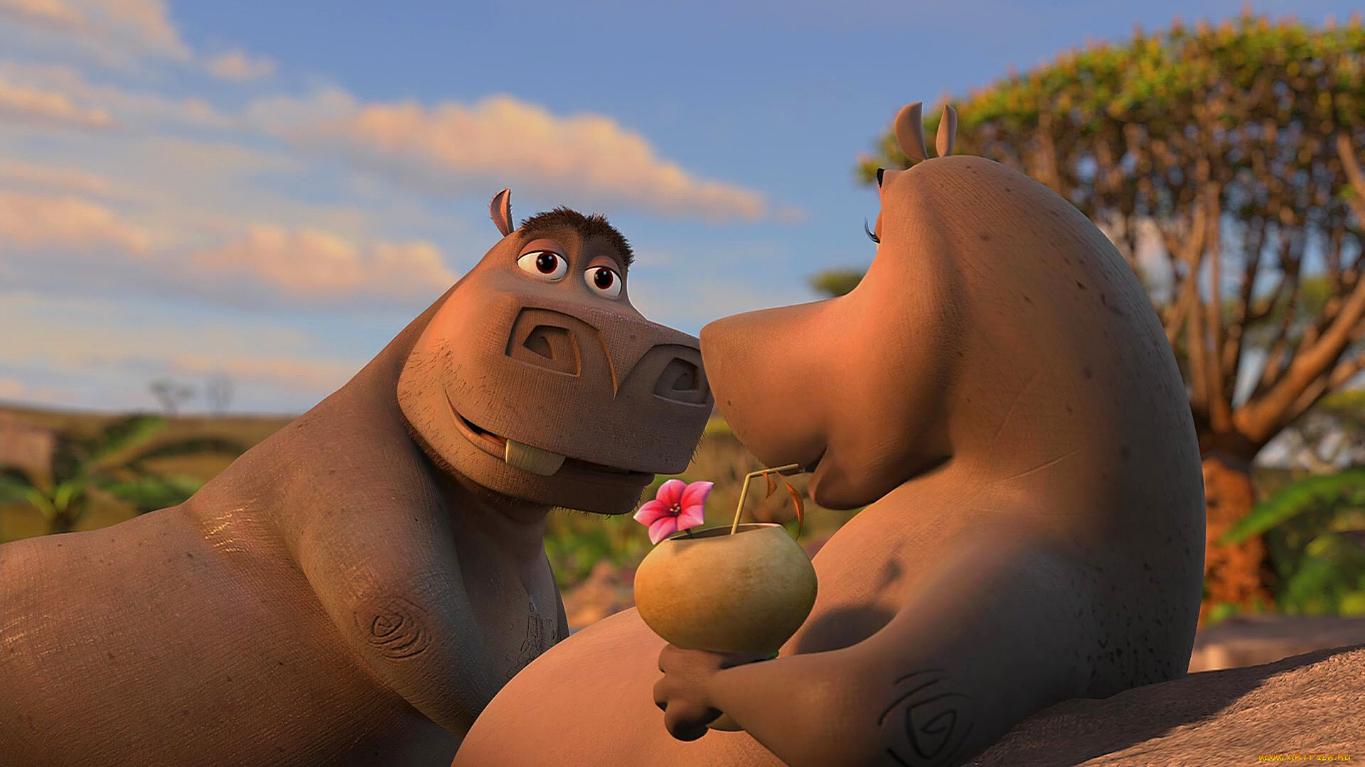мультфильмы, madagascar, , escape, 2, africa, бегемот, двое, коктейль, растения