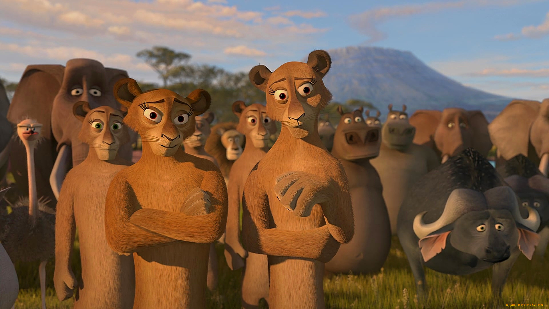 мультфильмы, madagascar, , escape, 2, africa, львица, слон, бегемот, звери