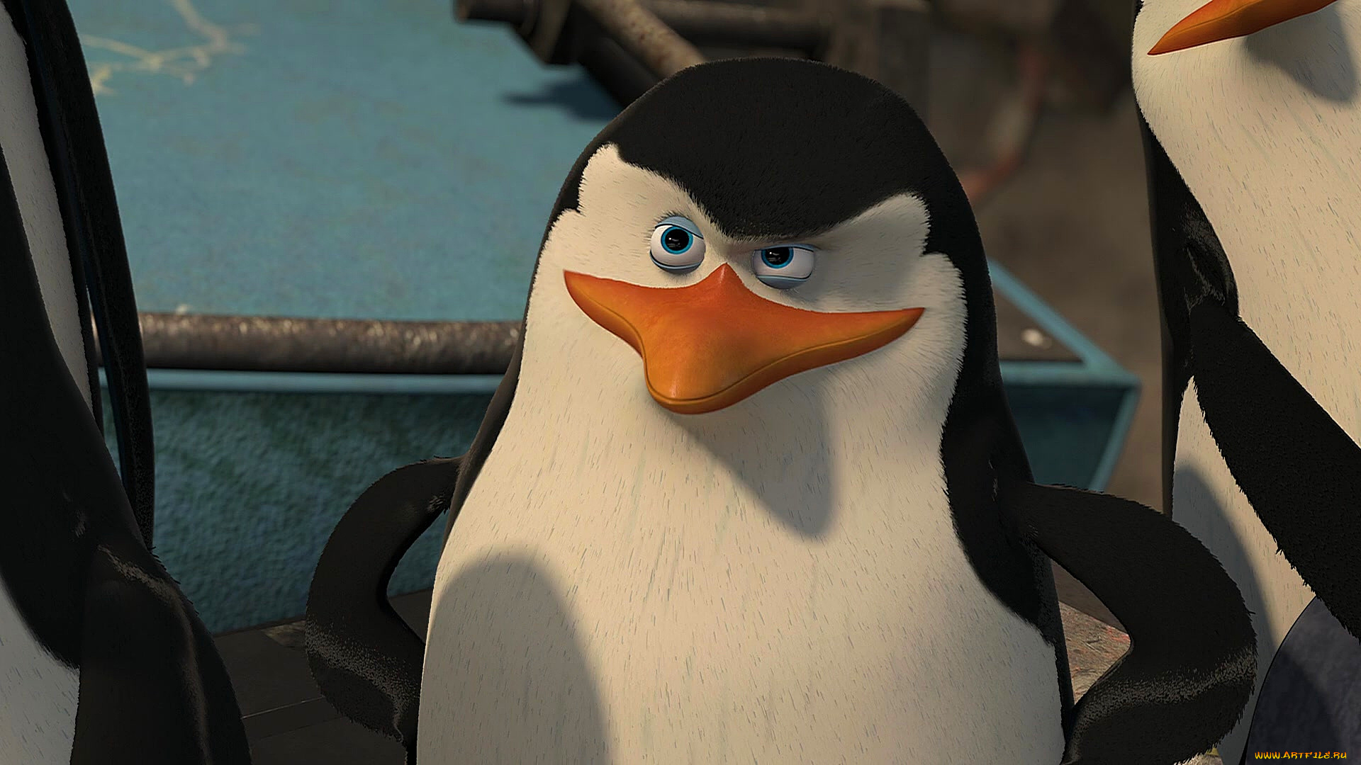 мультфильмы, madagascar, , escape, 2, africa, пингвин