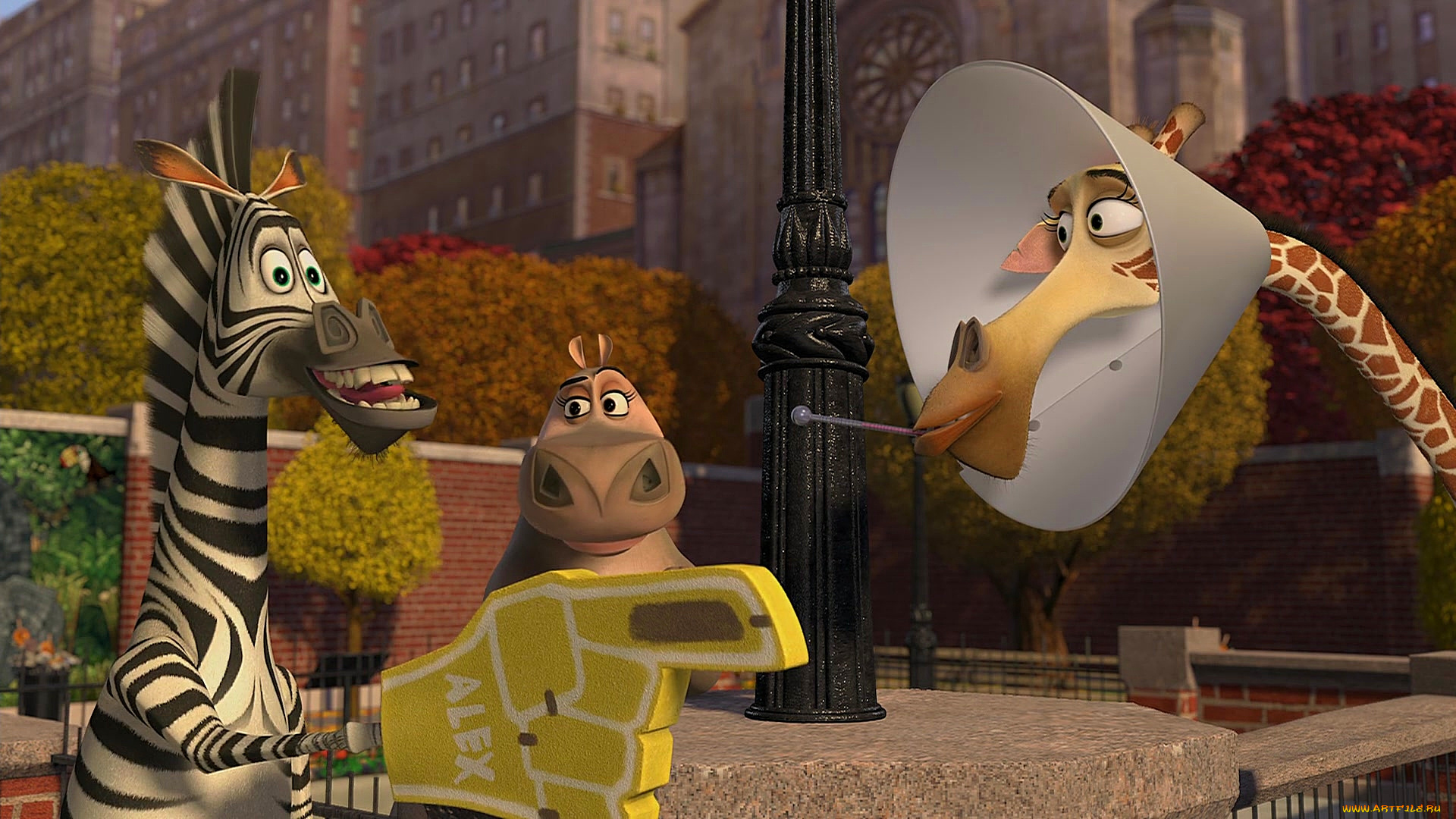 мультфильмы, madagascar, , escape, 2, africa, зебра, бегемот, жираф